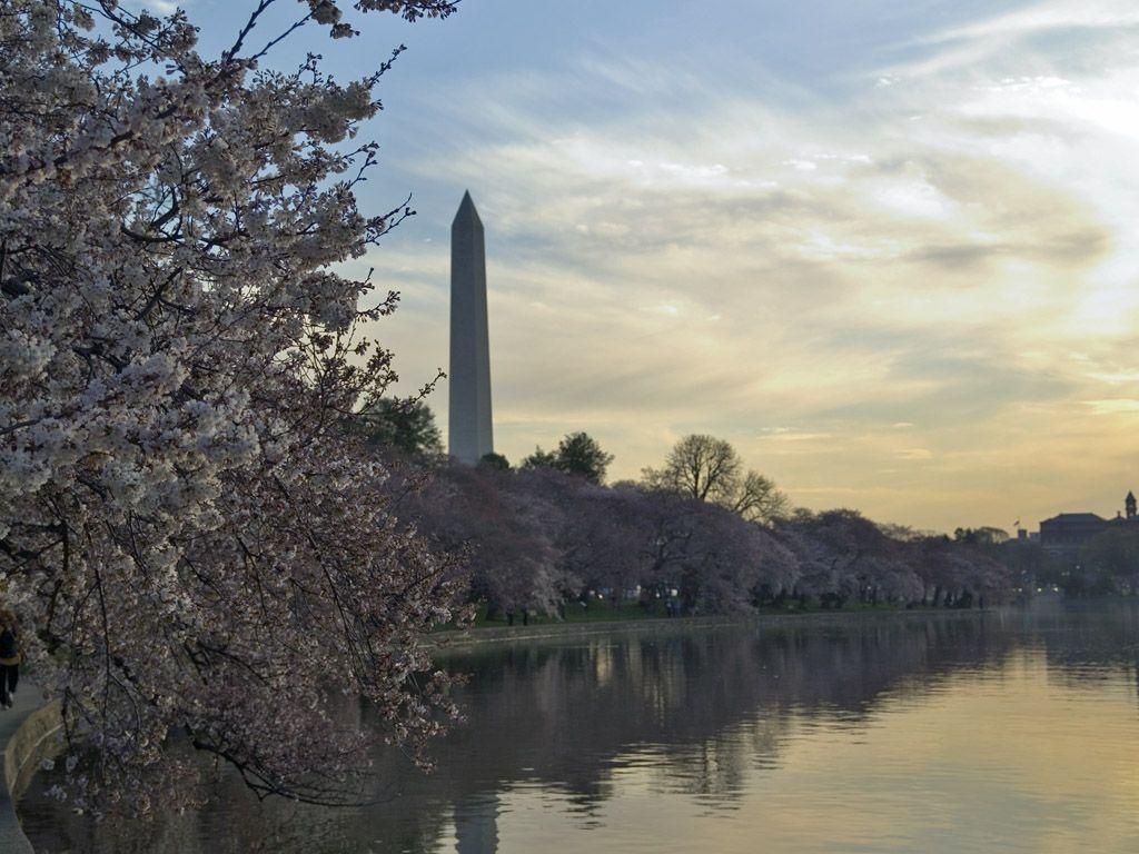 1030x770 Washington Dc Wallpaper, Desktop