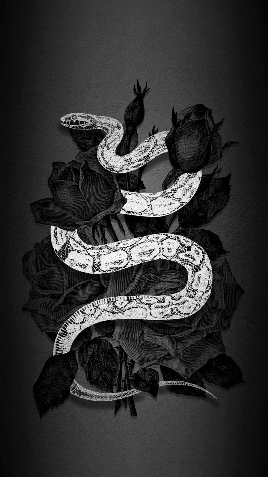 900x1600 White Snake IPhone Wallpaper Wallpaper, iPhone Wallpaper, Phone