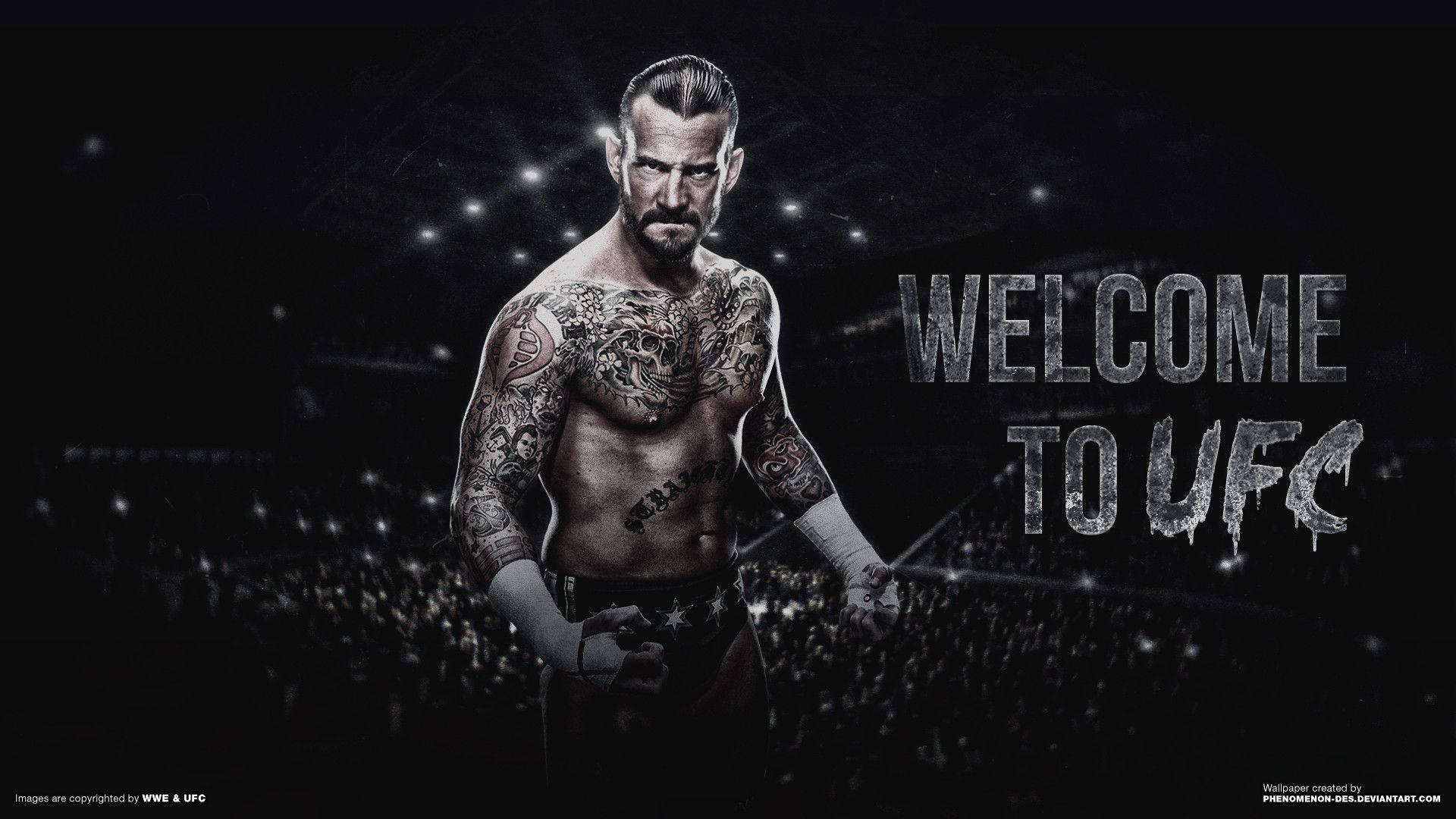 1920x1080 Ufc Wallpaper, Desktop