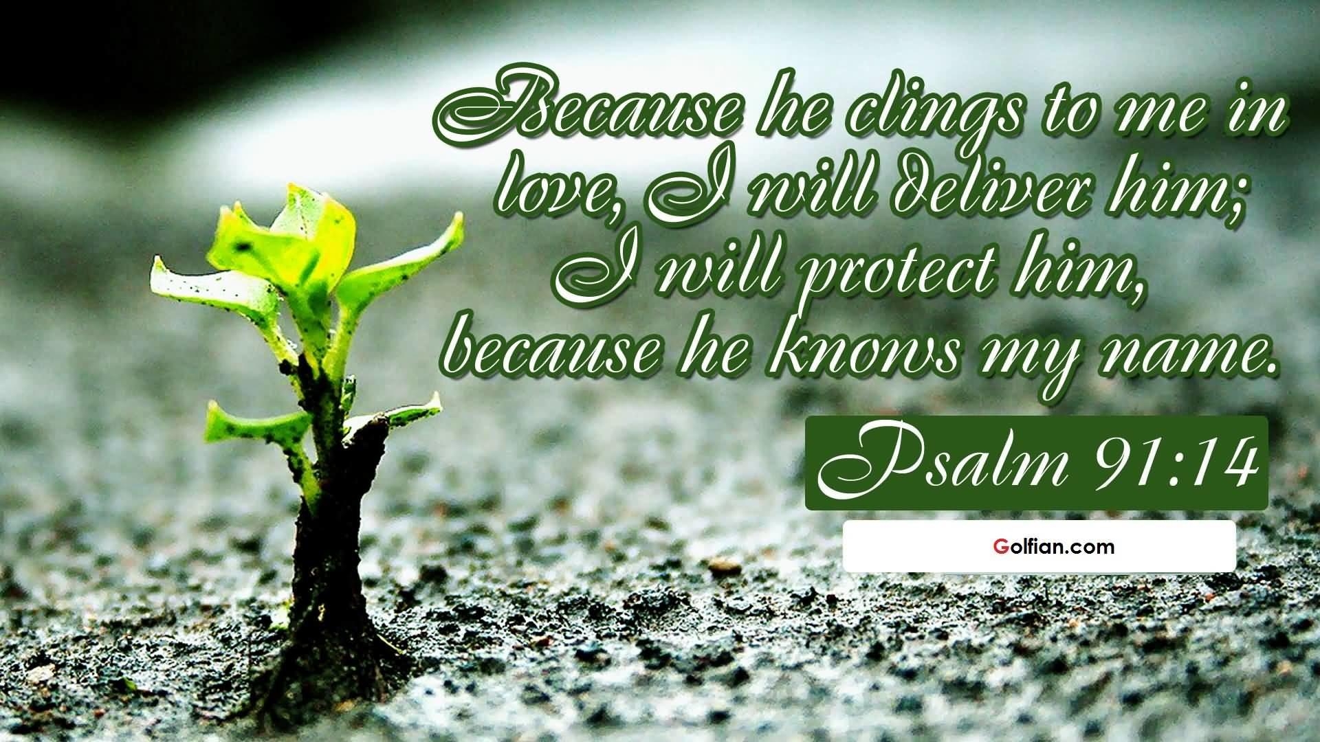 1920x1080 Psalm 23 Wallpaper background picture, Desktop