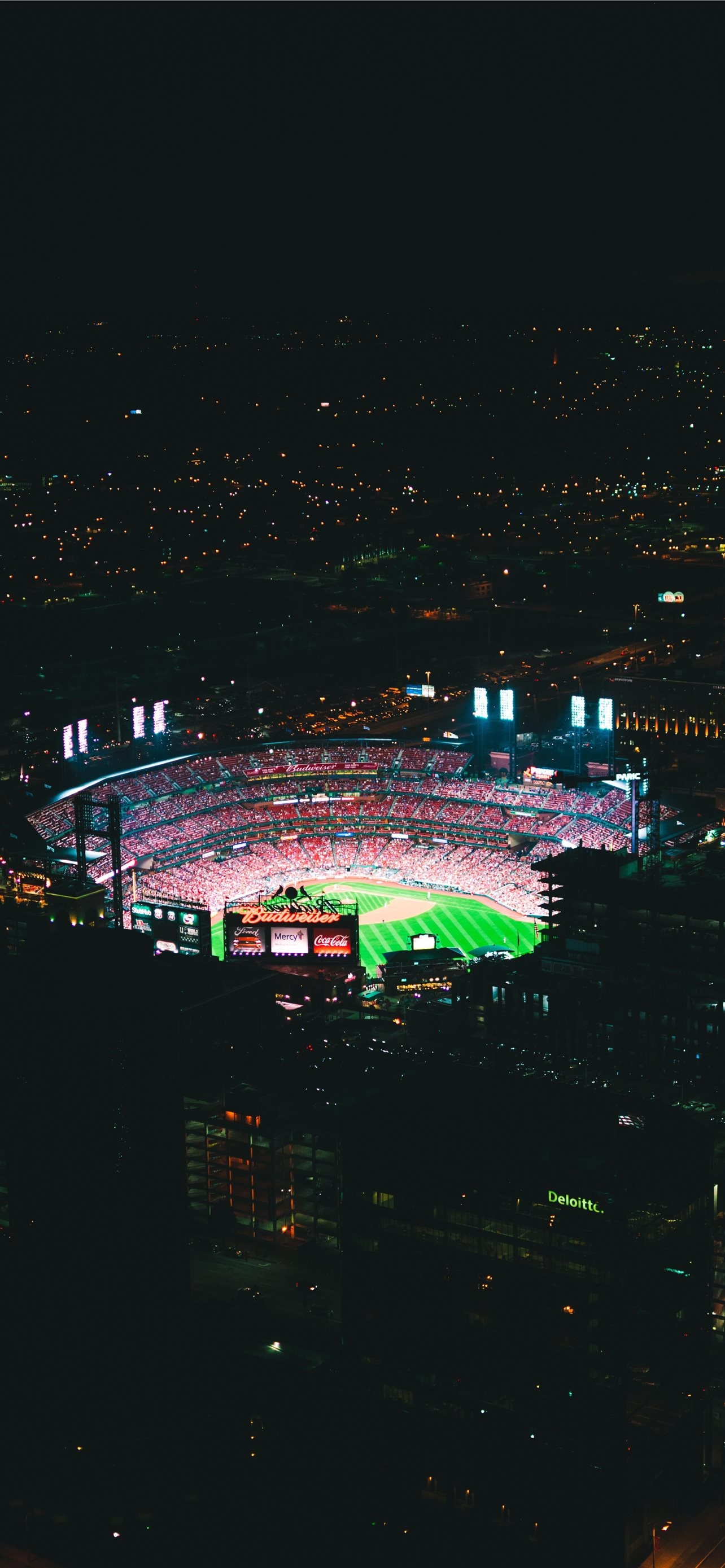 1290x2780 Best St louis cardinals iPhone HD, Phone