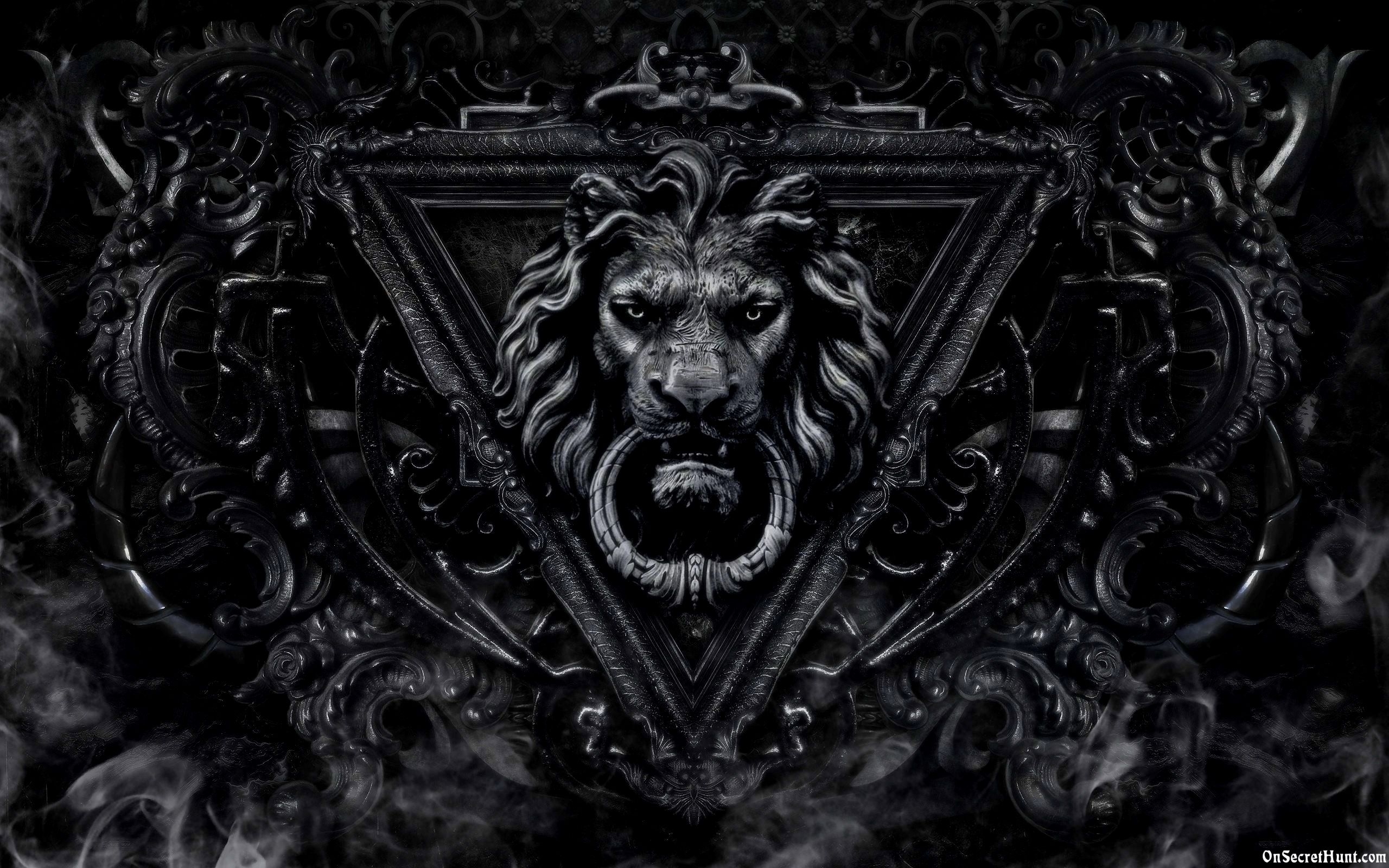 2560x1600 Black Lion Wallpaper, Desktop