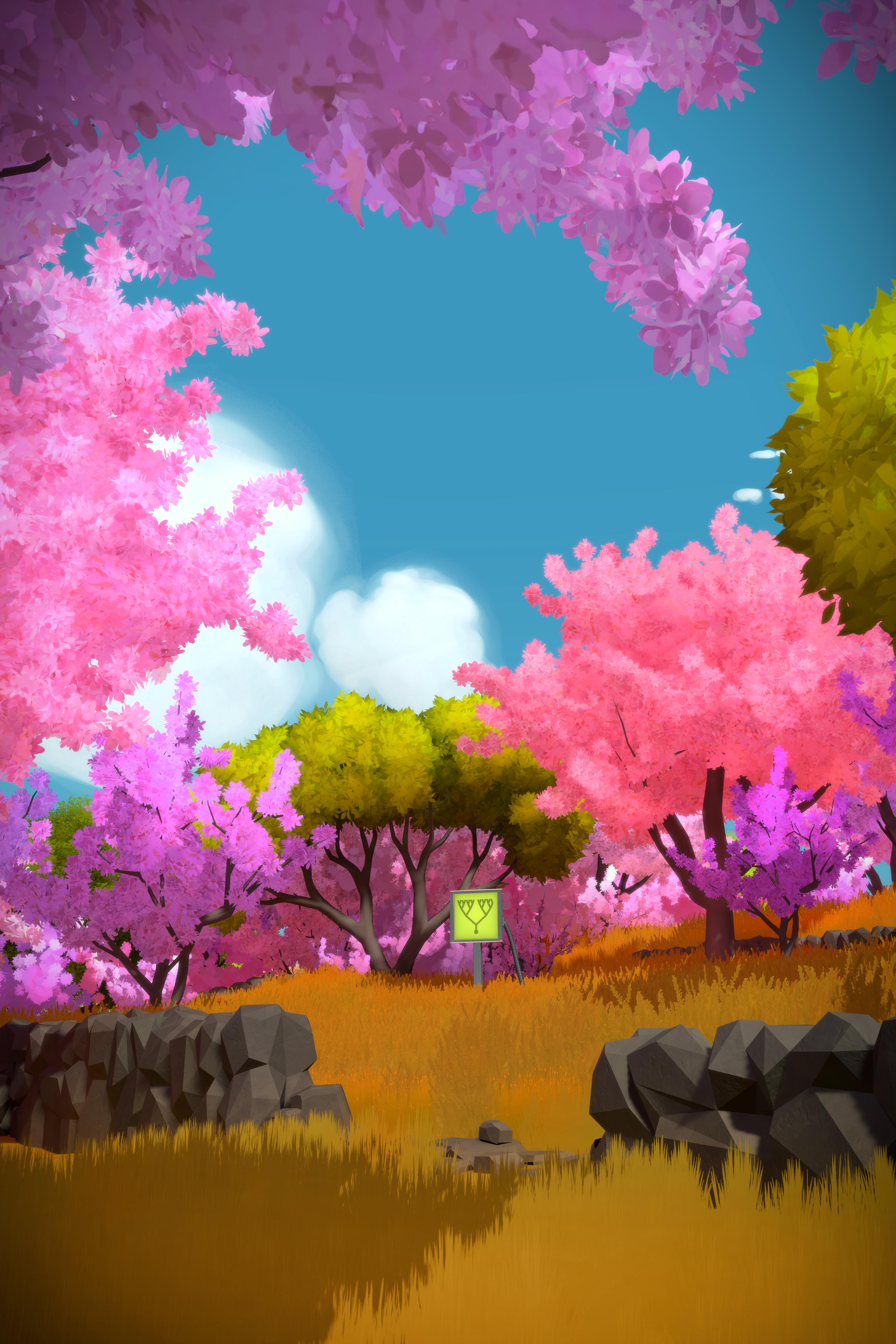 4000x6000 Eight Stupidly High Resolution Screenshots Of The Witness, Phone