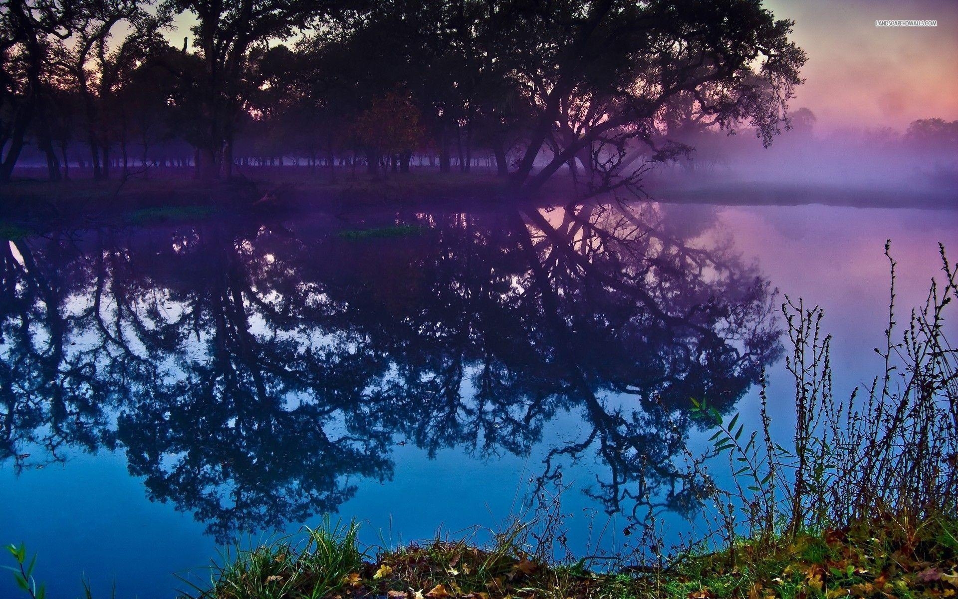 1920x1200 Foggy Forest Pond wallpaper #, Desktop