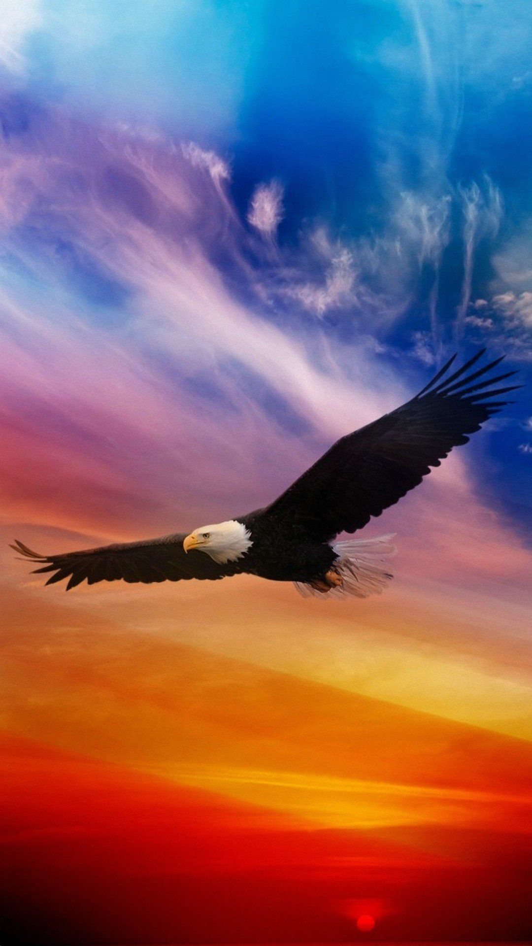 1080x1920 Full HD Eagle Wallpaper iPhone, Phone