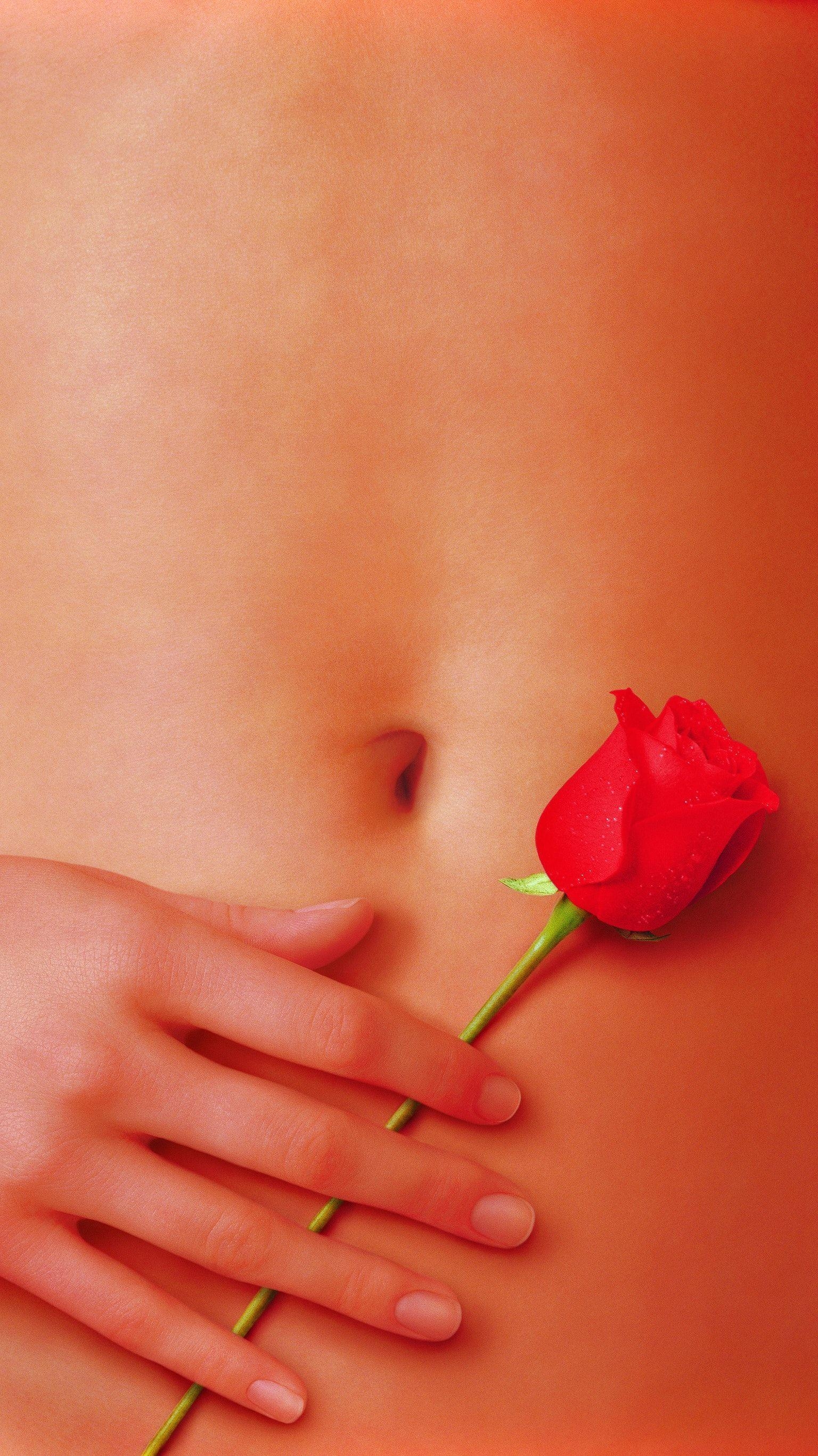 1540x2740 American Beauty (1999) Phone Wallpaper, Phone