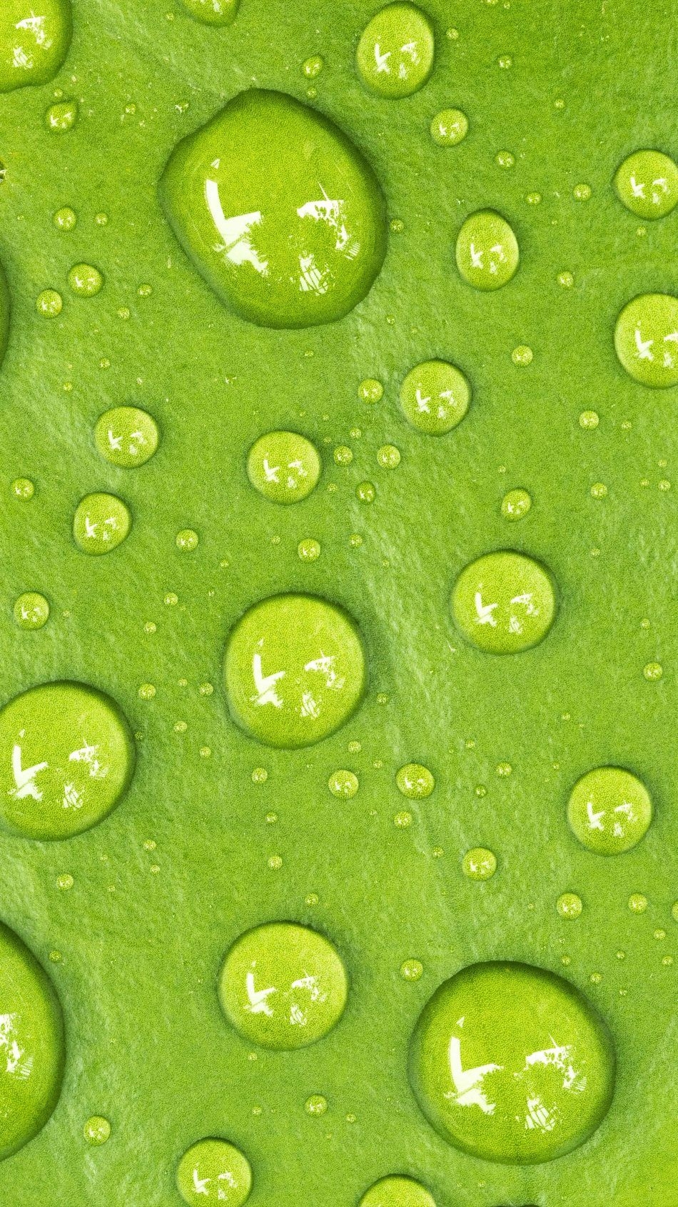 950x1690 Ultra HD Green Wallpaper HD For Mobile, Phone