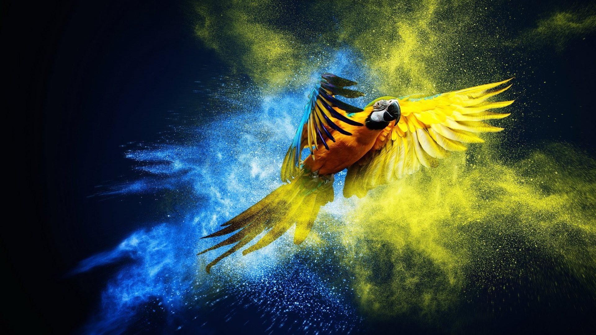 1920x1080 Birds: Macaw Artwork Parrot Wallpaper Of Birds With Flowers for HD, Desktop