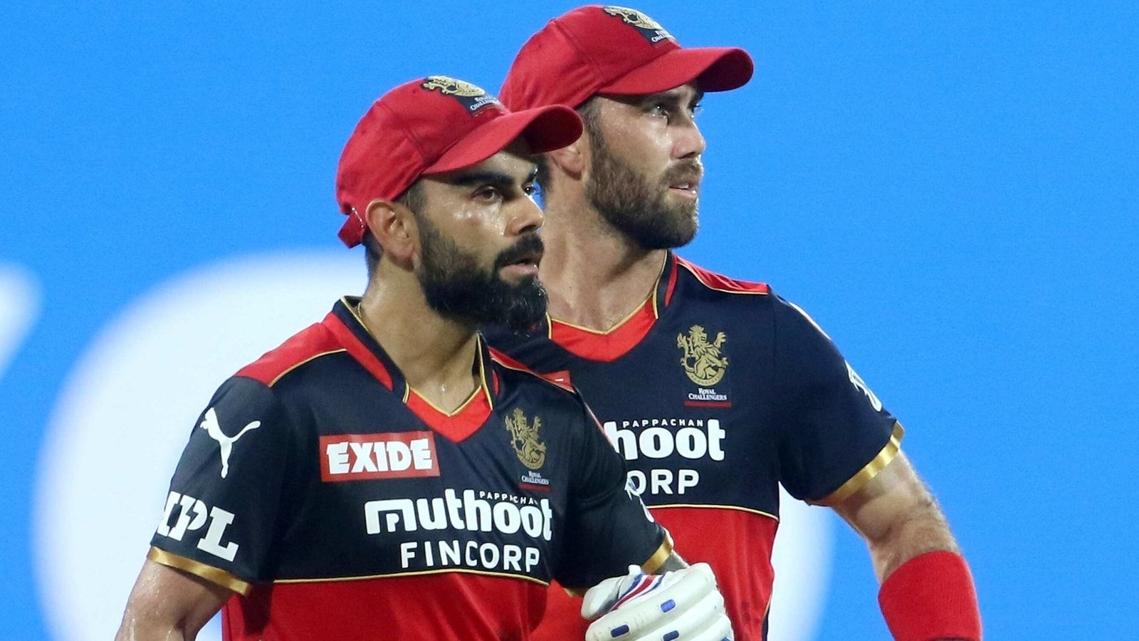 1600x900 Glenn Maxwell reveals Virat Kohli's reaction after Adam Zampa handed over RCB cap to him before IPL 2021 auction, Desktop