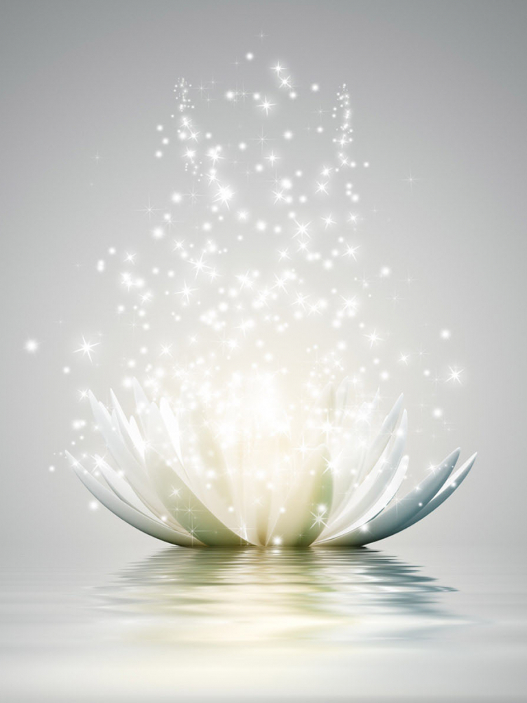 770x1030 Free download lotus flower wallpaper View All [1920x1200] for your Desktop, Mobile & Tablet. Explore Lotus Flower Background. Lotus Wallpaper for Walls, Water Lotus Wallpaper, Lotus HD Wallpaper, Phone