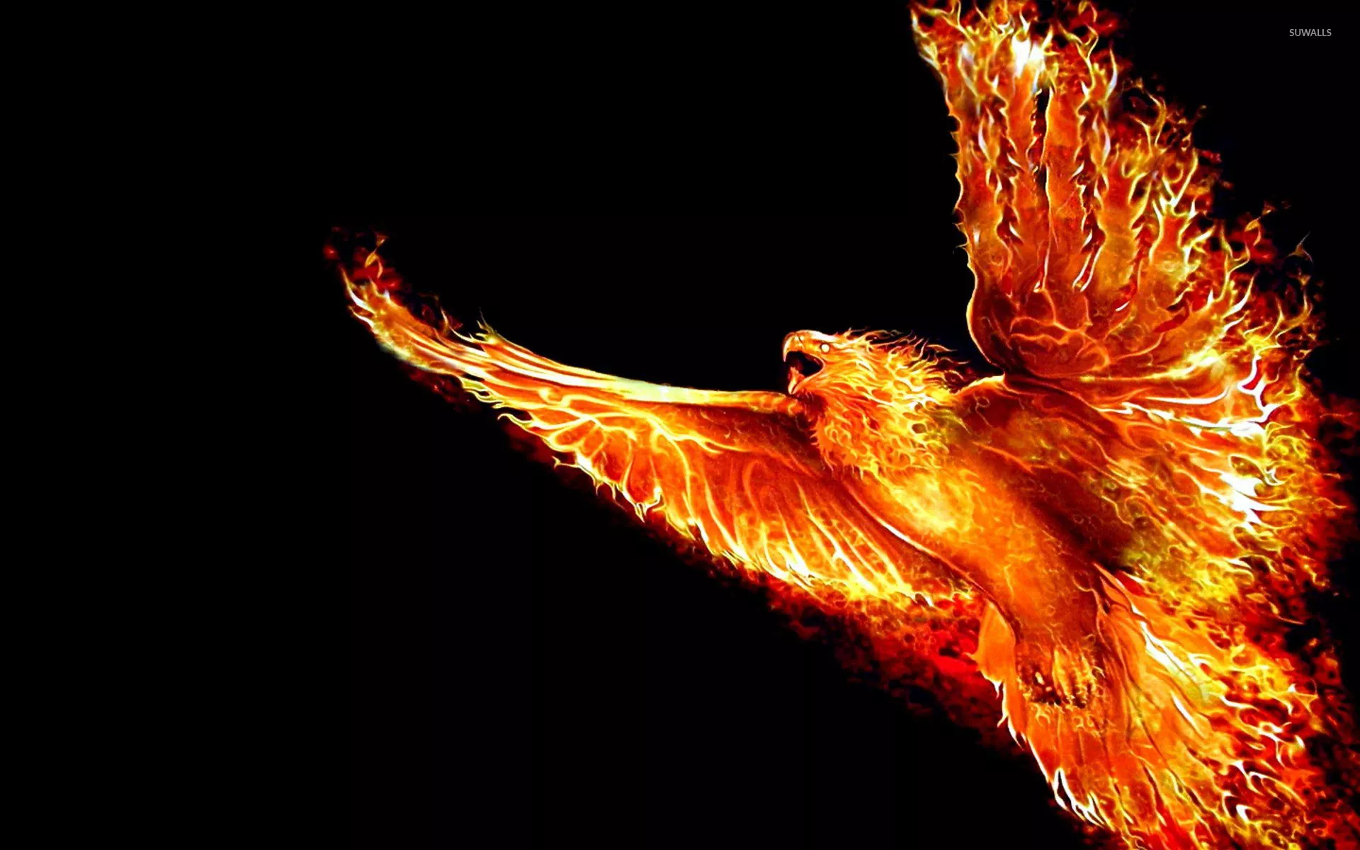 1920x1200 Phoenix wallpaper wallpaper, Desktop