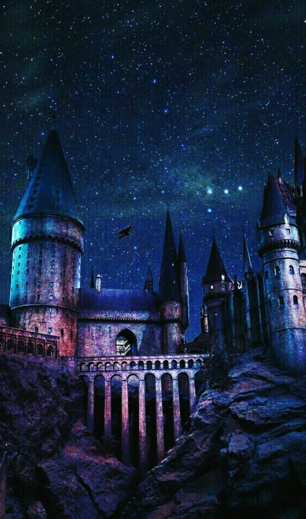 1000x1680 Hogwarts Mobile Wallpaper Free Hogwarts Mobile Background, Phone