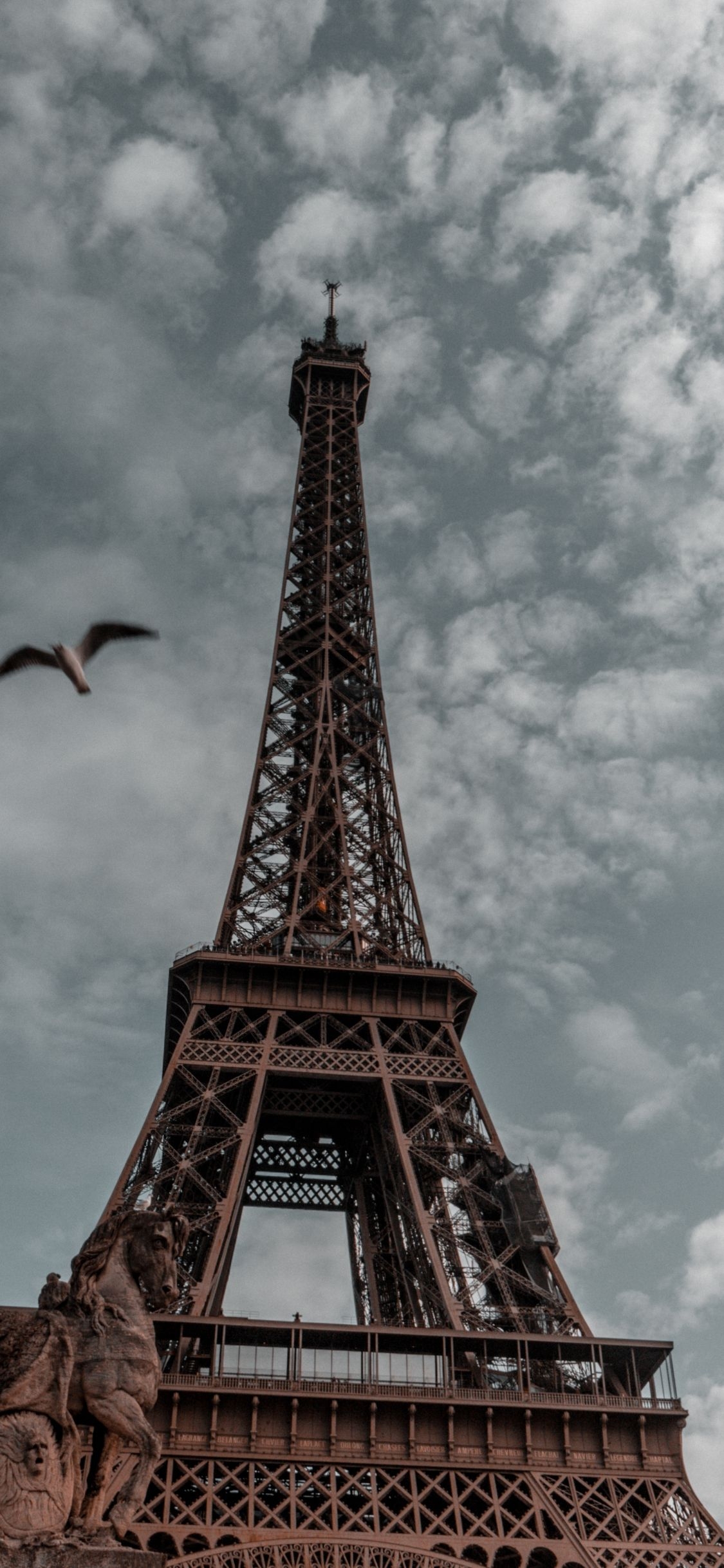 1130x2440 Download  wallpaper eiffel tower, paris, sky, architecture, iphone x  HD image, background, 7183, Phone