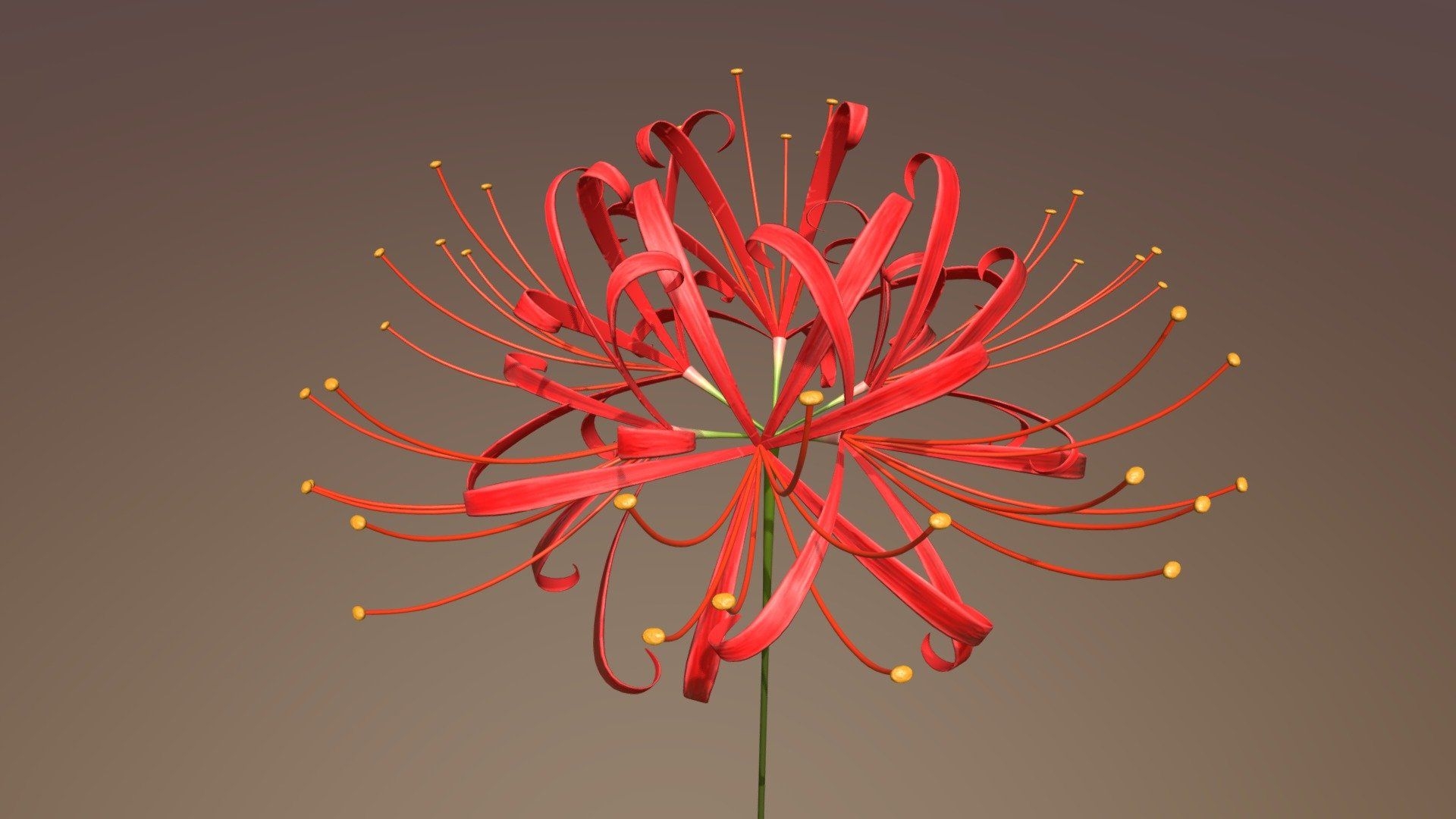 1920x1080 Higanbana (Red Spider Lily) model, Desktop