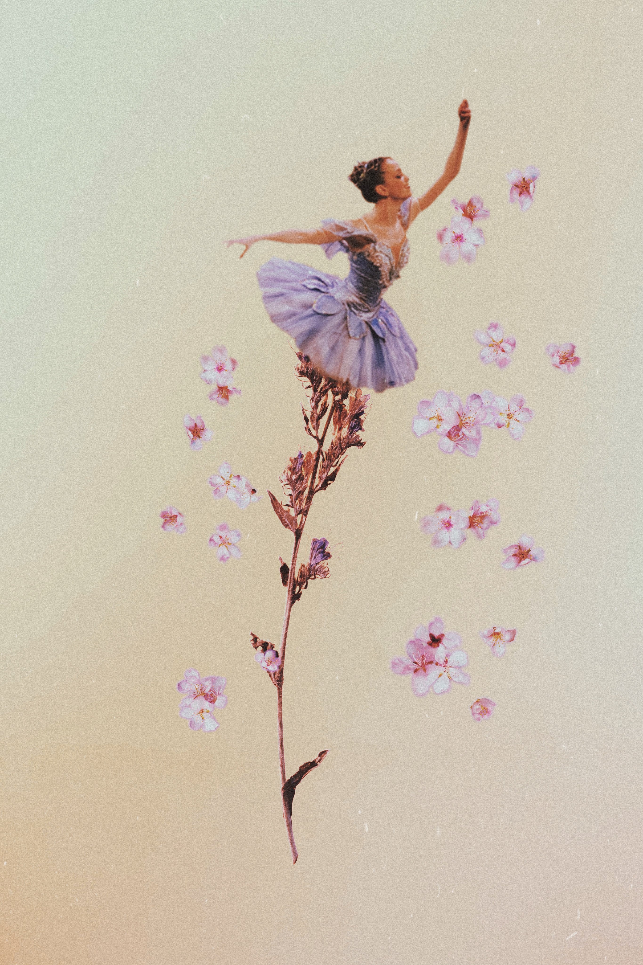 2730x4100 ballerina ballet flowers girl 344938585029201, Phone