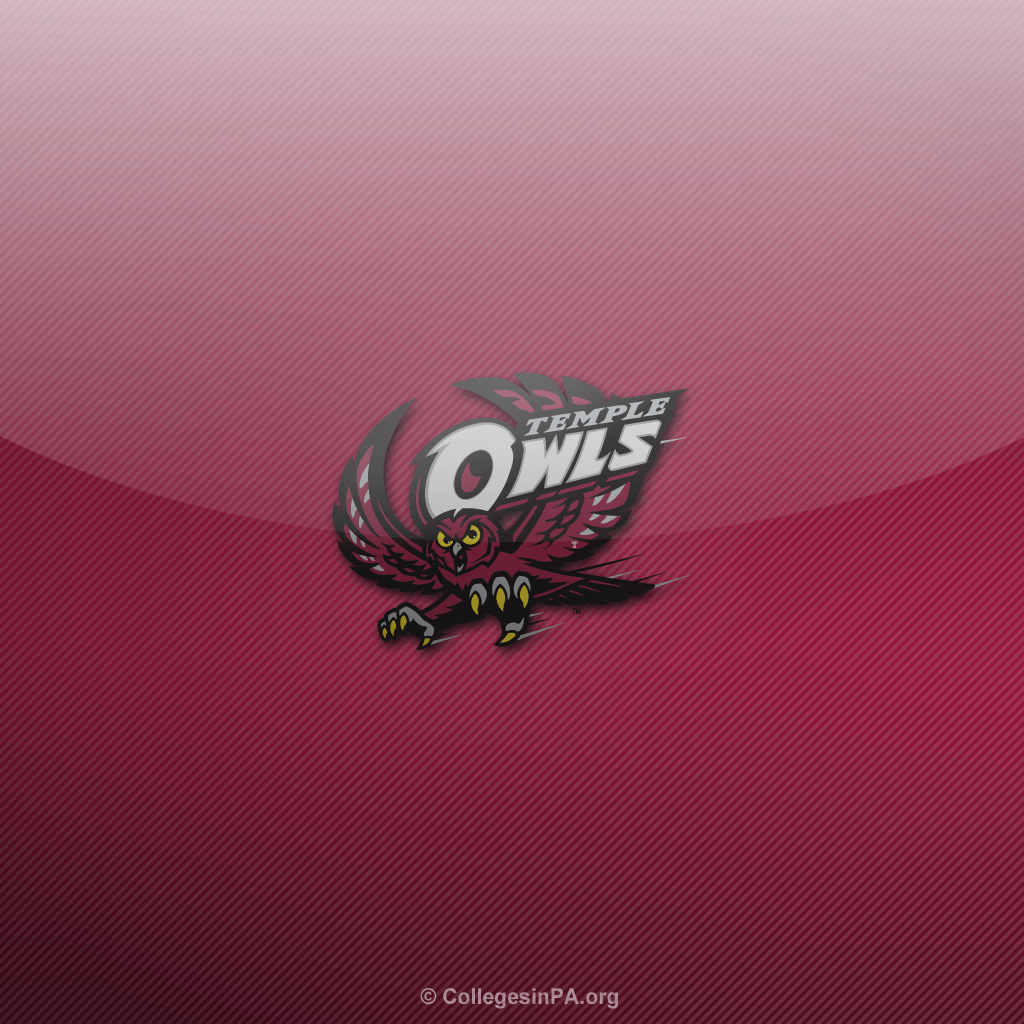 1030x1030 Temple Owls Browser Themes, Wallpaper and More, Phone