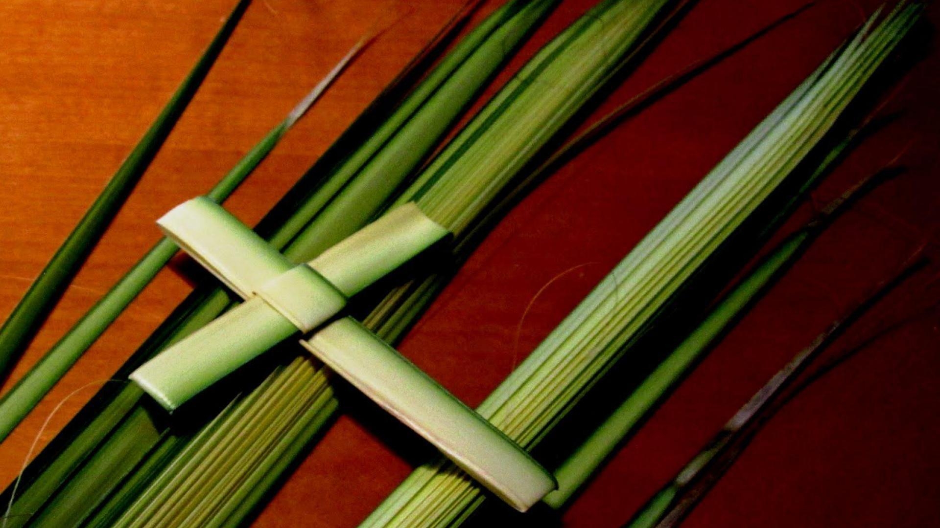 1920x1080 Palm Sunday Wallpaper Background, Desktop