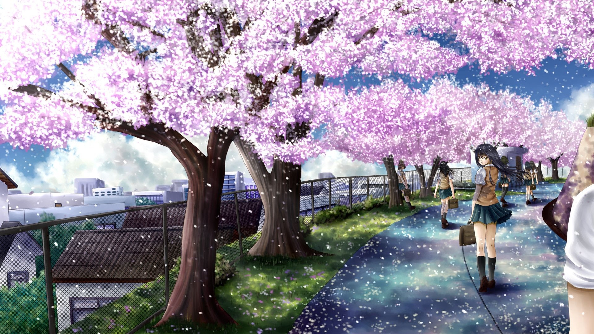 1920x1080 Anime Cherry Blossom Wallpaper, Desktop