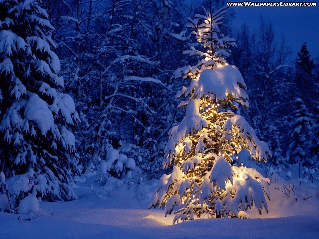 1030x770 Xmas Stuff For > Real Snowy Christmas Background, Desktop