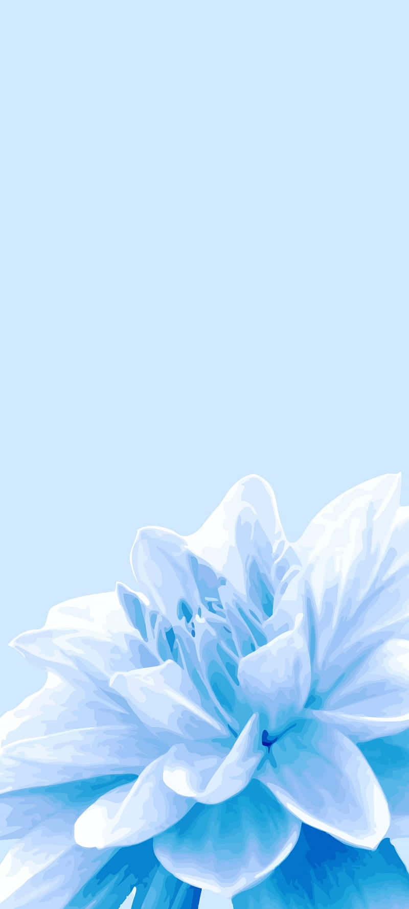 800x1780 Blue Flower Wallpaper, Phone