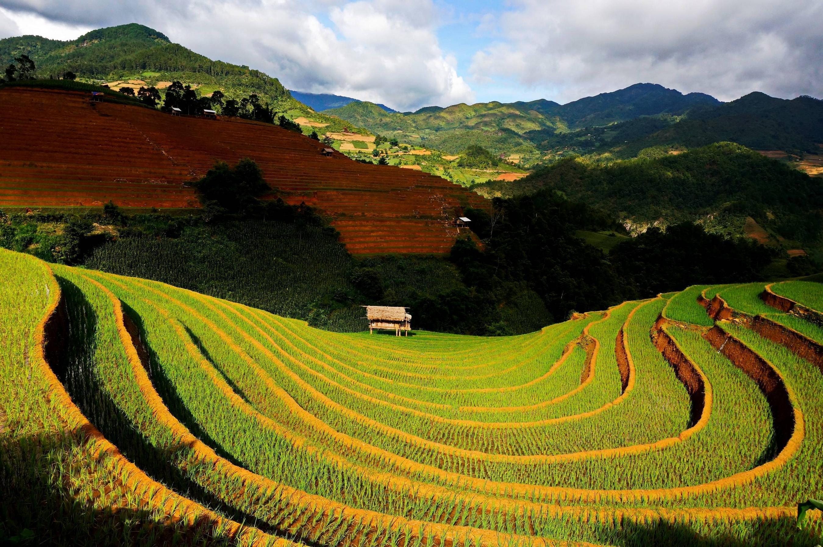 2700x1800 Rice Terraces Vietnam wallpaper, Desktop