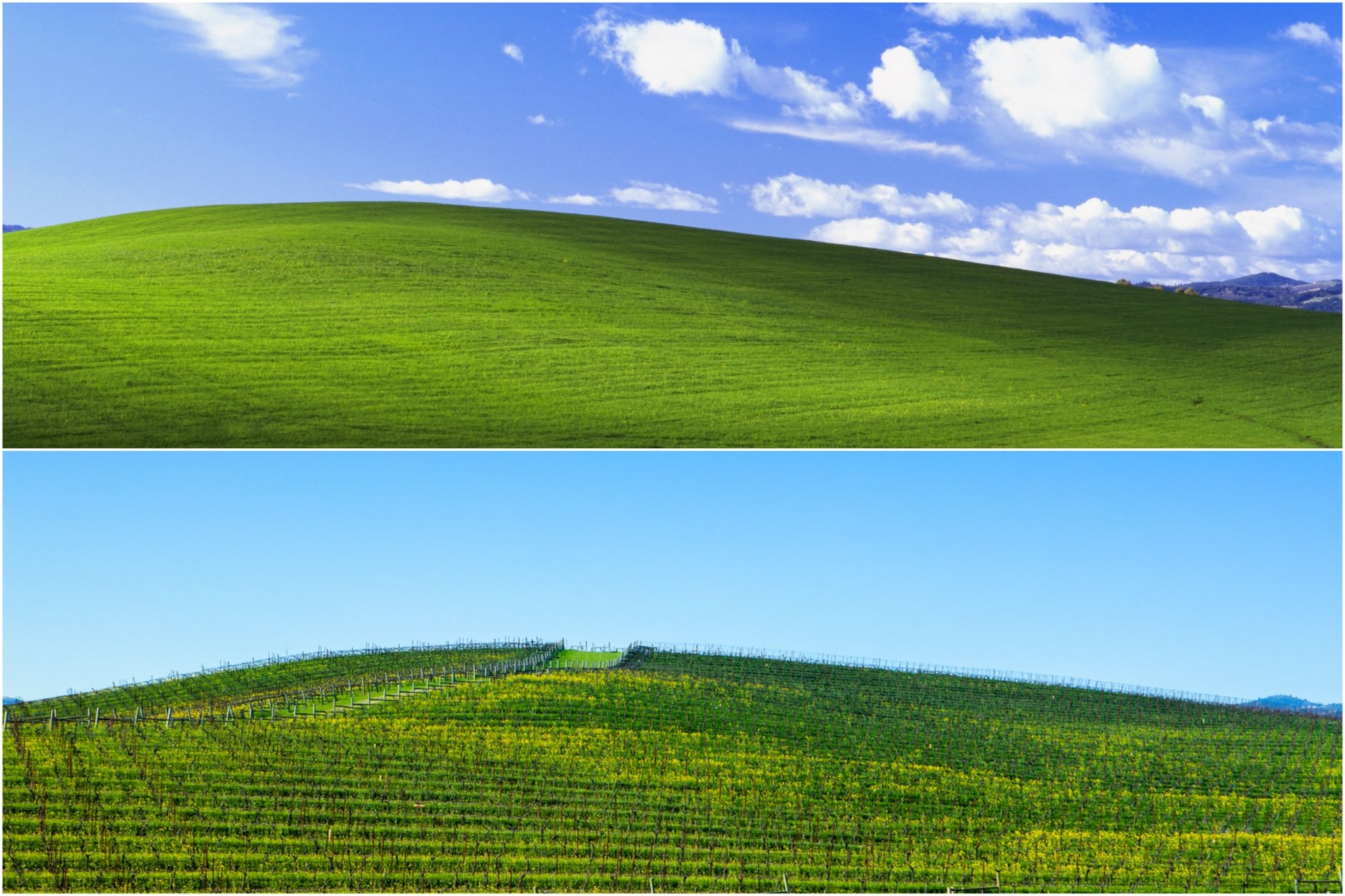 2050x1370 I found the Bay Area hill in Windows XP's iconic wallpaper, Desktop