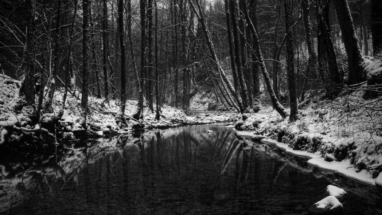 1250x700 Black white monochrome nature landscapes trees forests rivers, Desktop