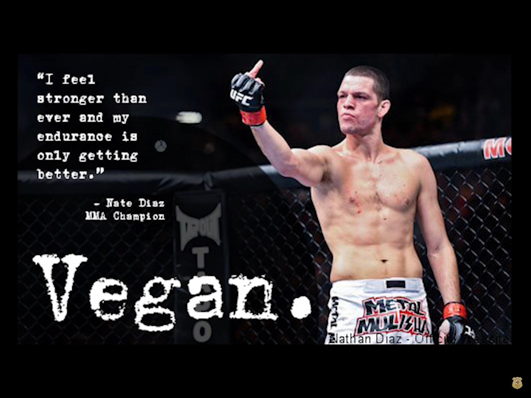 2050x1540 Nate Diaz Wallpaper, Picture, Desktop