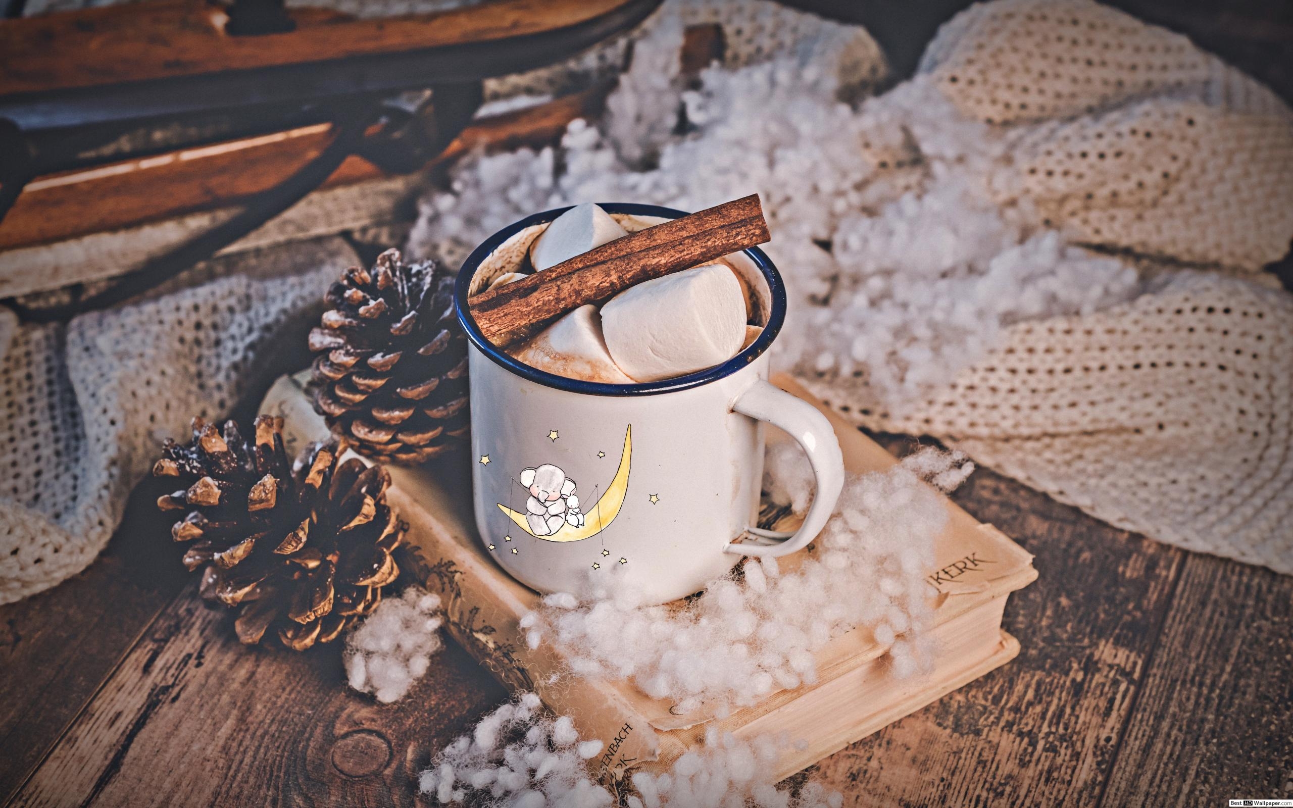 2560x1600 Warm hot Choco with cinnamon and Marshmallow in a white cup aesthetic wallpaper HD wallpaper download, Desktop