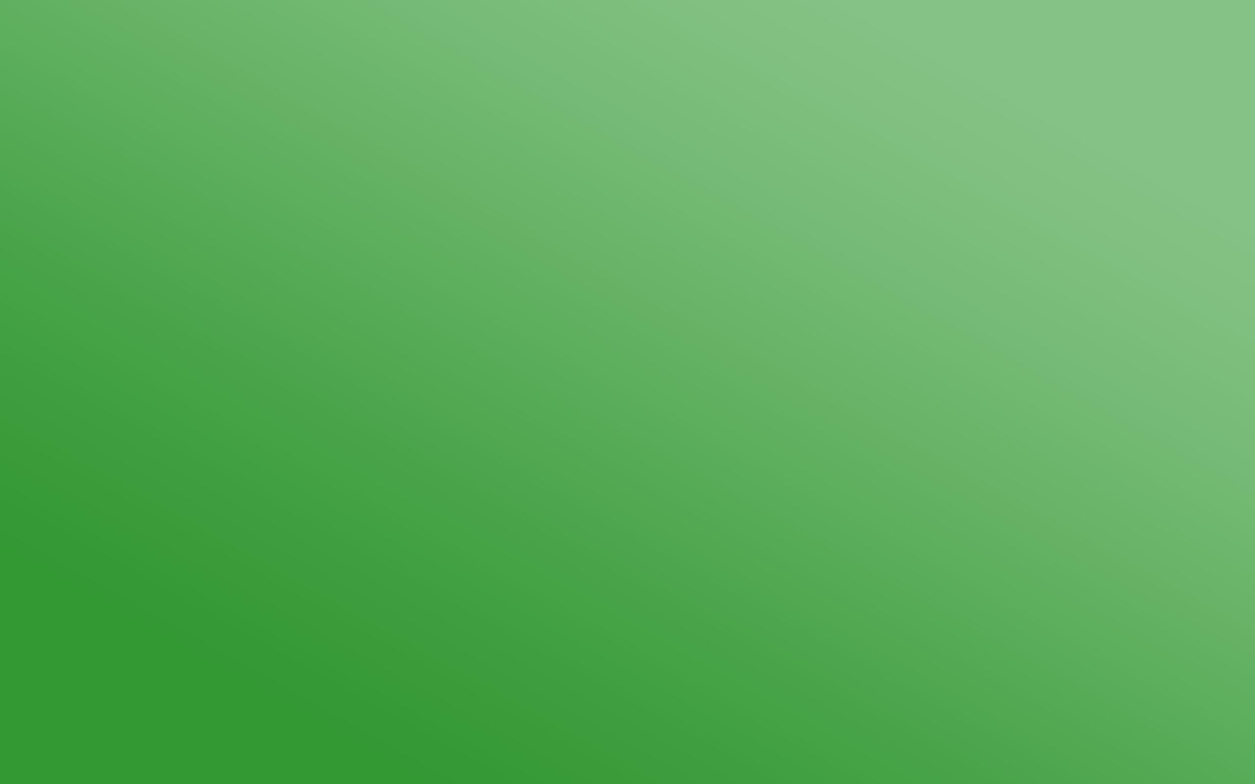 2560x1600 The Plain Color Green HD Wallpaper, Background Image, Desktop