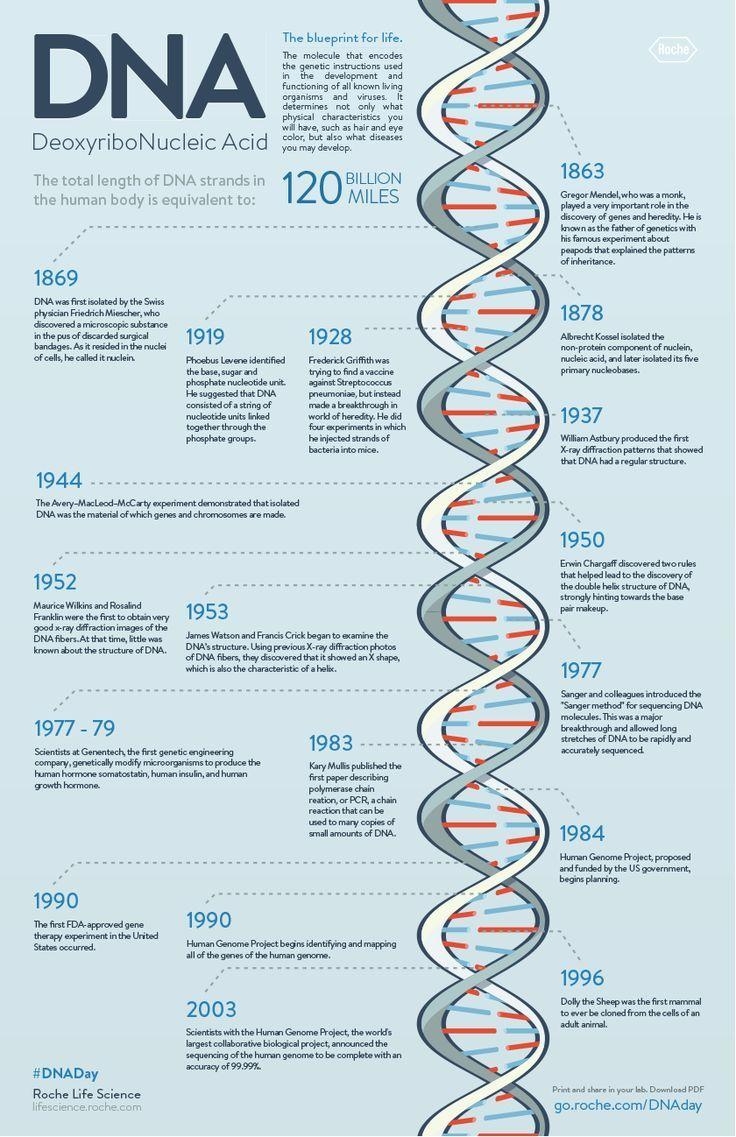 740x1140 Best Dna Paternity Test Image. Forensic Science, Phone