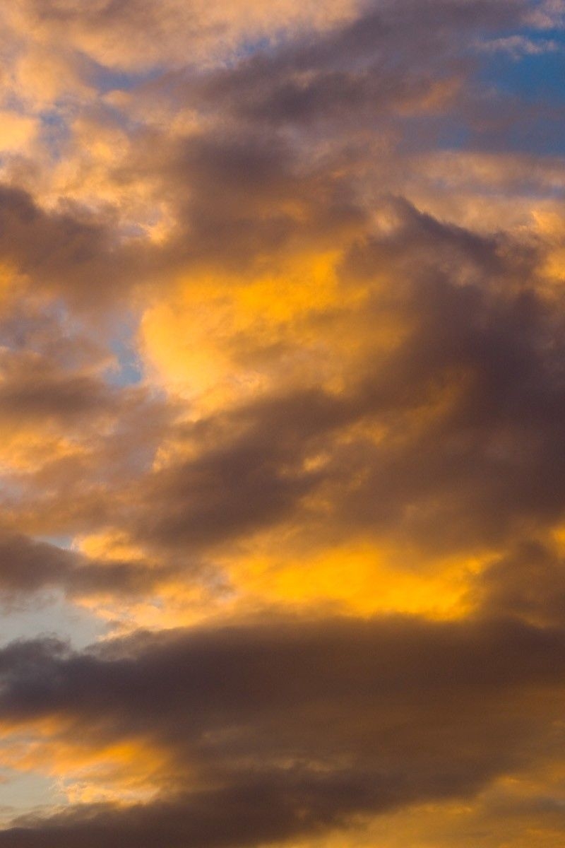 800x1200 Download wallpaper  clouds, sky, sunlight, white, blue, Phone