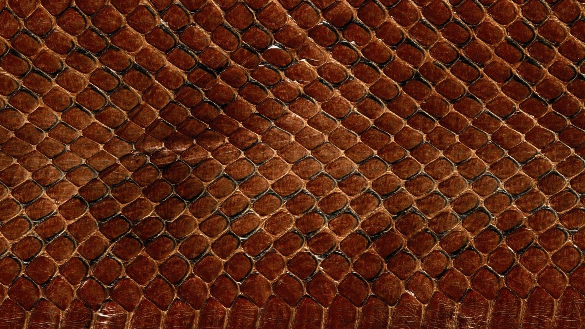 1920x1080 Download Wallpaper  Snake, Scales, Patterns, Texture Full, Desktop