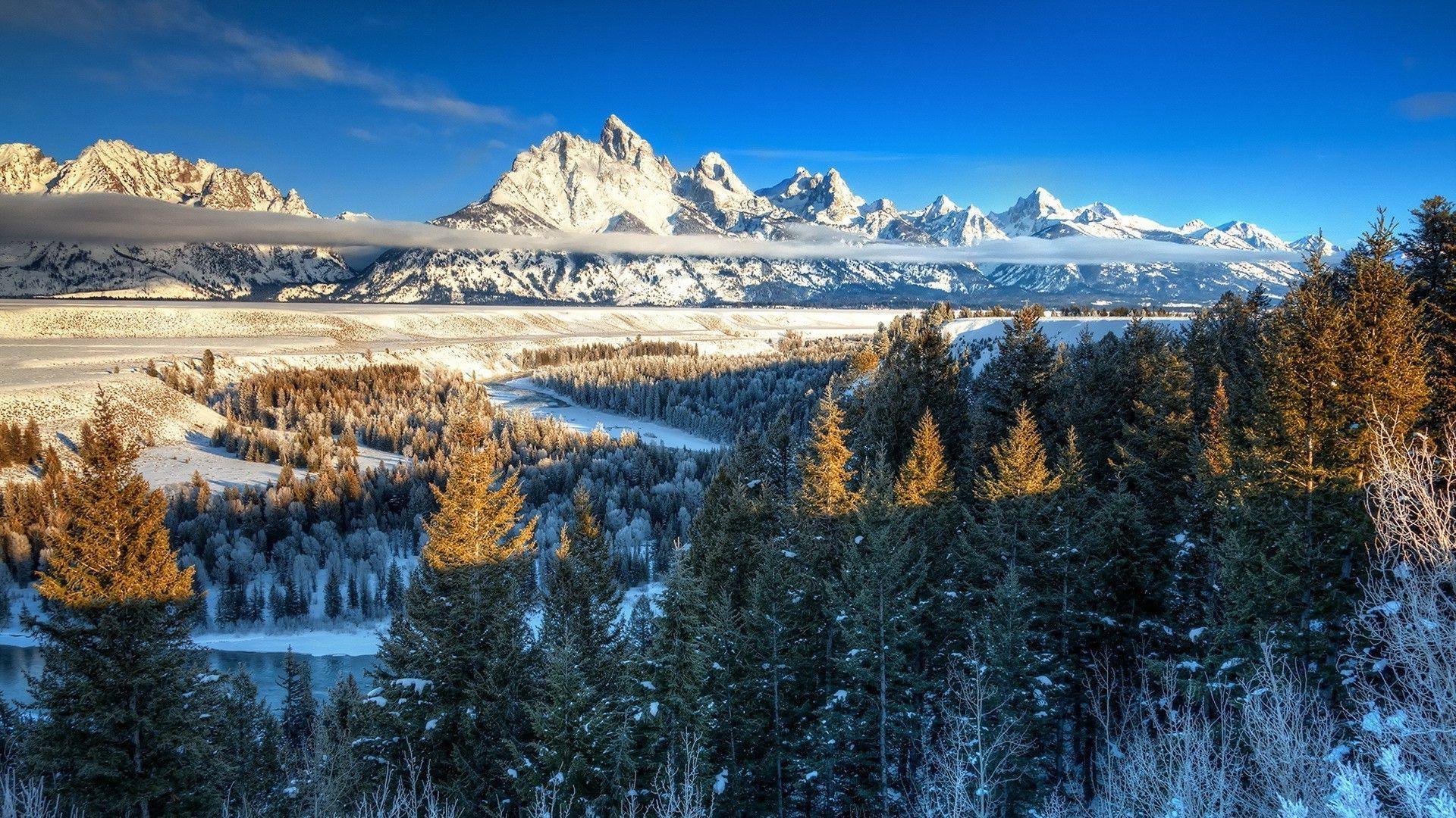 1920x1080 nature landscape trees forest yellowstone national park wyoming, Desktop