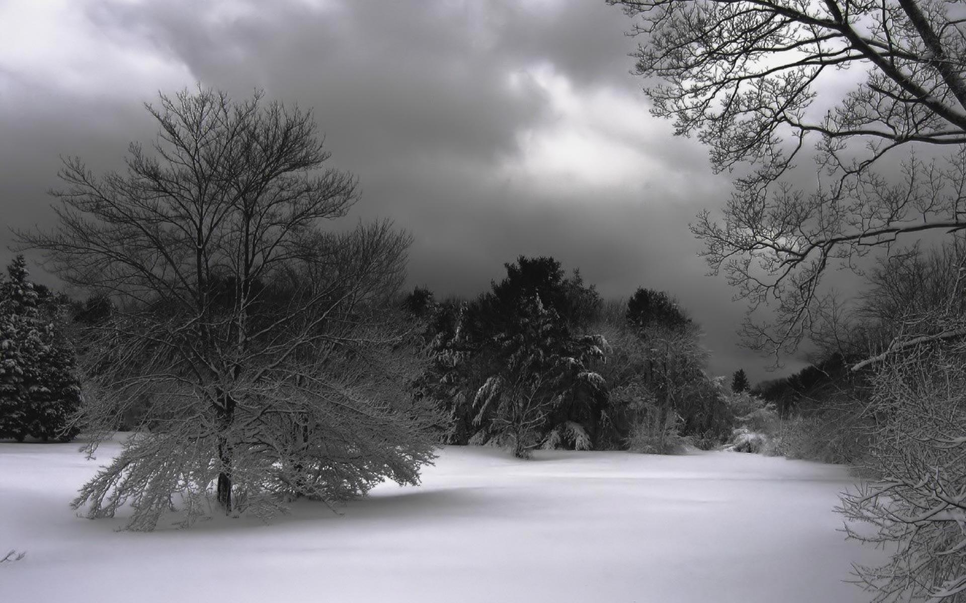 1920x1200 Dark Winter Wallpaper Free Dark Winter Background, Desktop