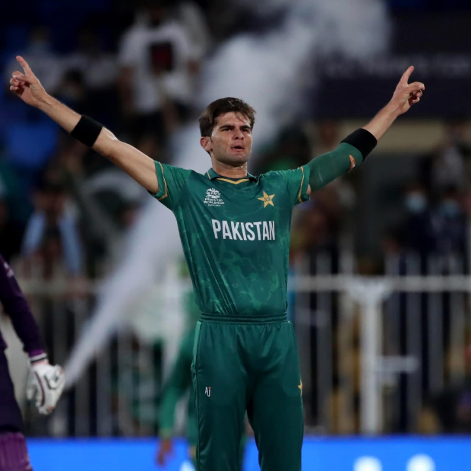 1600x1600 T20 World Cup 2021. Battle with Shaheen Afridi in Powerplay Will be Crucial: Aaron Finch, Phone