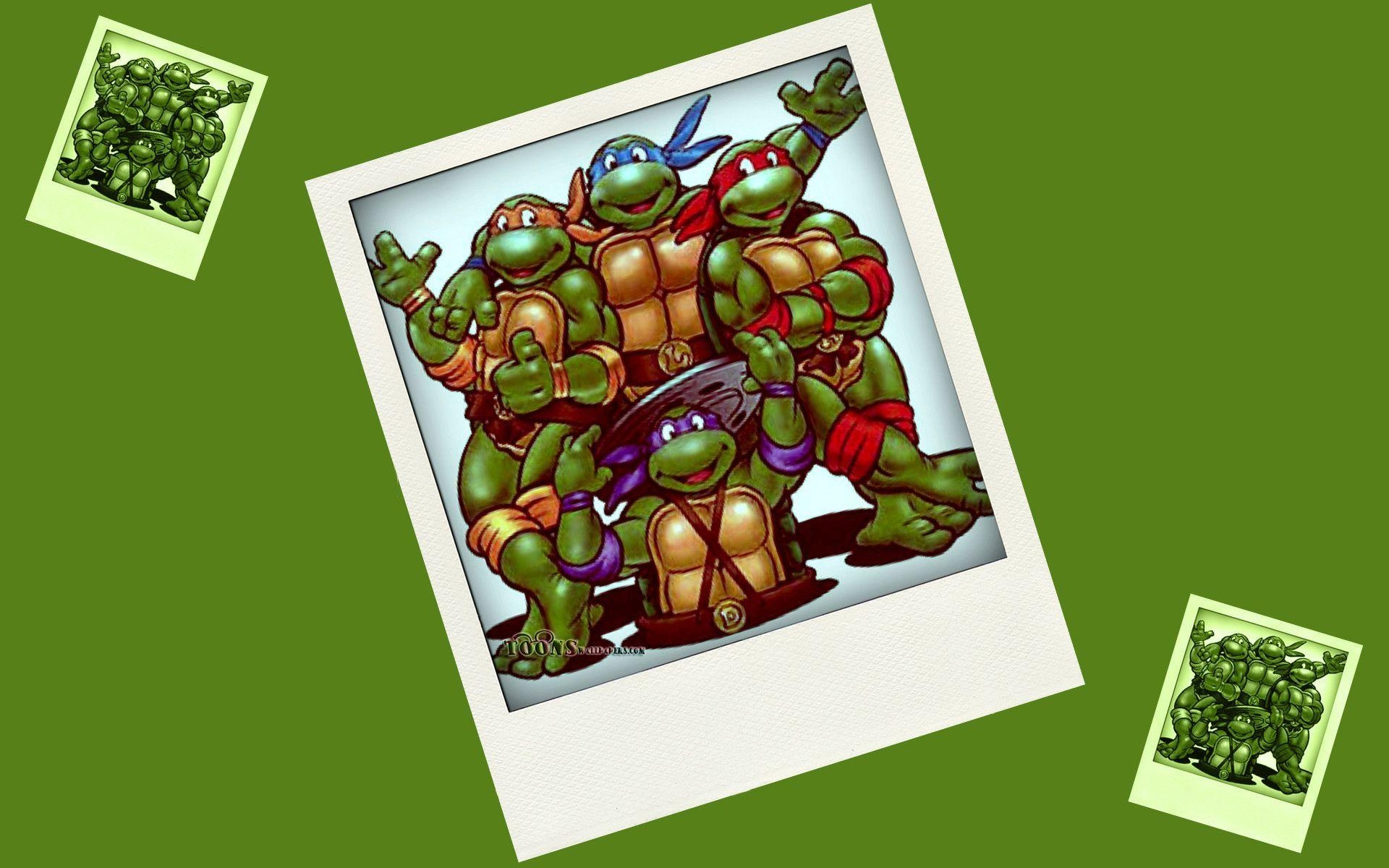 1920x1200 Ninja Turtles wallpaper, Desktop