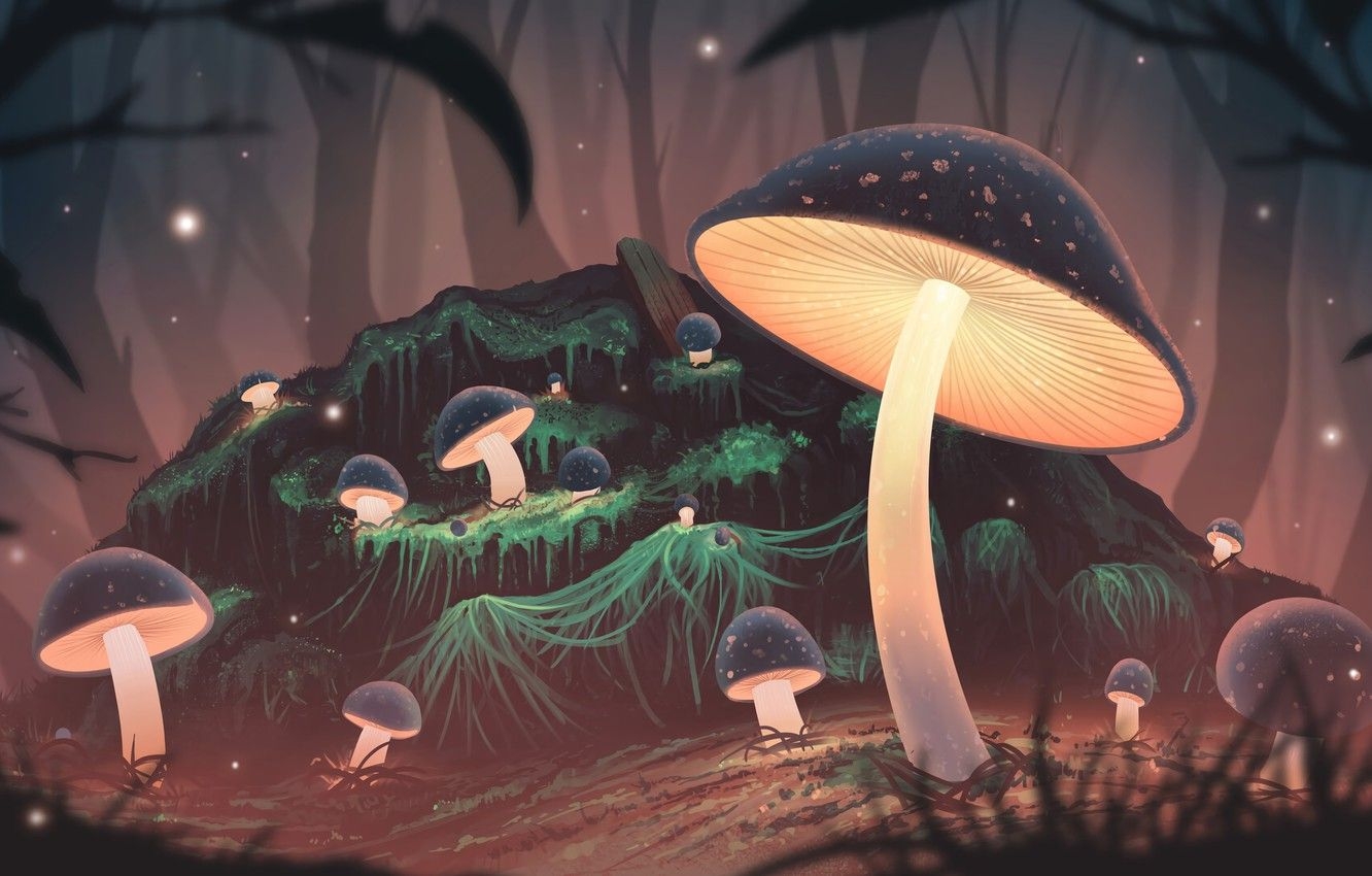 1340x850 Mushroom Art Wallpaper Free Mushroom Art Background, Desktop