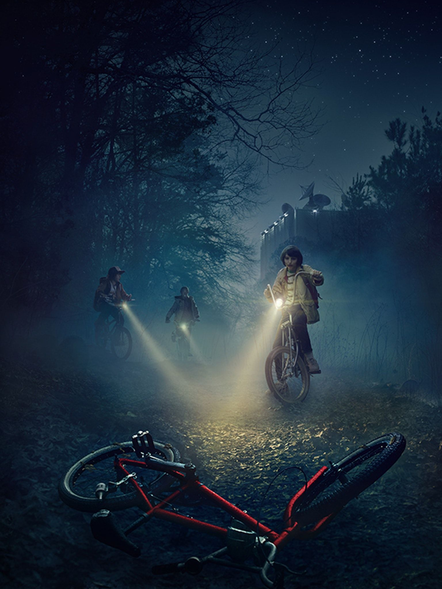 1540x2050 Free download Stranger Things Phone Wallpaper in 2019 To the Upside Down [1536x2732] for your Desktop, Mobile & Tablet. Explore The Upside Movie Wallpaper. The Upside Movie Wallpaper, Home, Phone