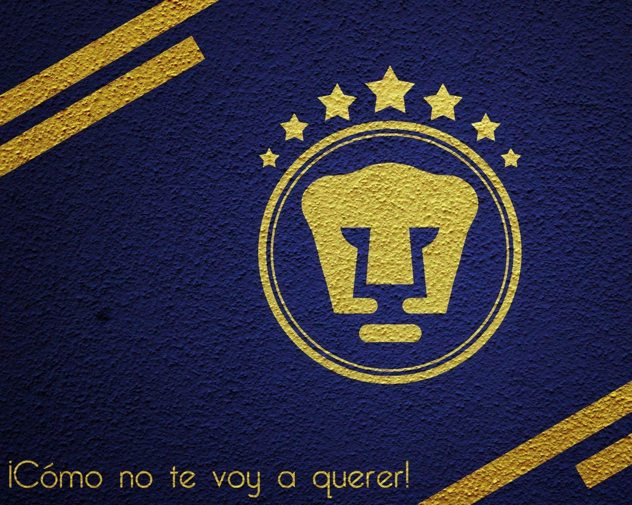 1280x1030 Pumas Wallpaper, Desktop