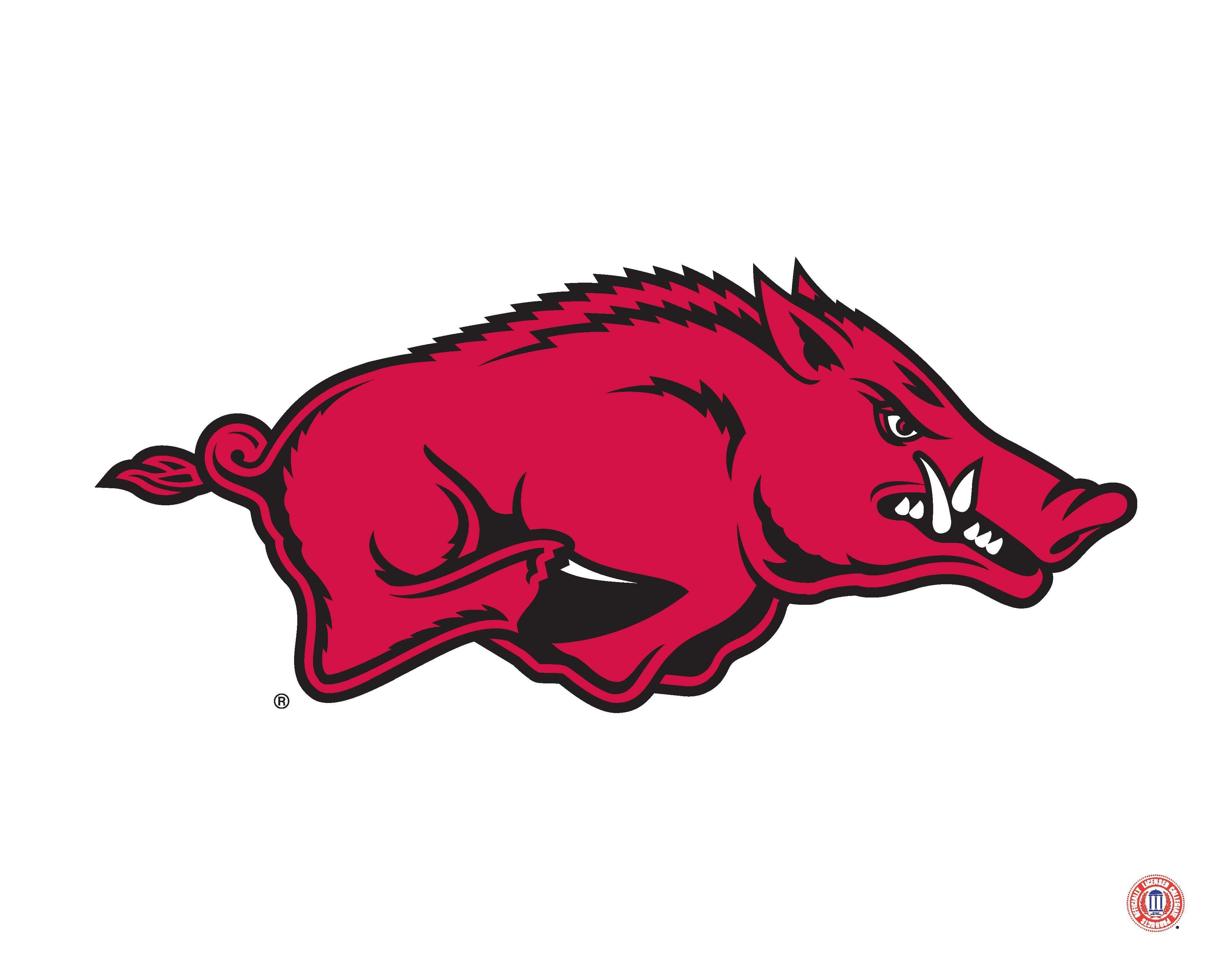 3900x3100 Arkansas Razorbacks mascot logo, Desktop