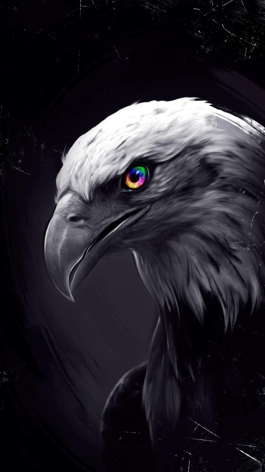 900x1600 Dark Eagle Wallpaper Free Dark Eagle Background, Phone