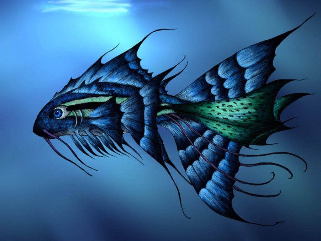 1030x770 Fish Wallpaper Wallpaper, Desktop