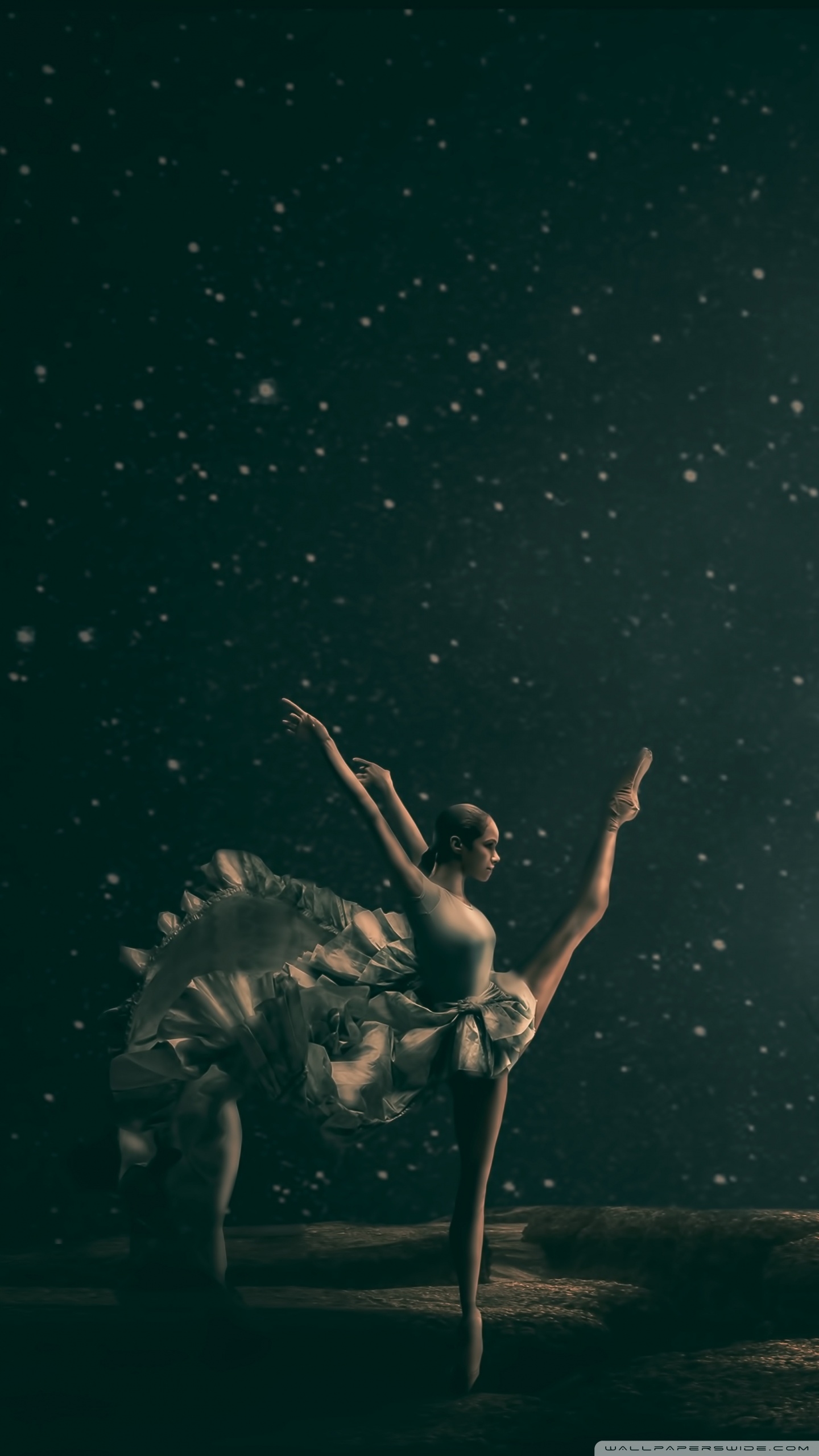 1440x2560 Dancing Ballet, Moonlight Ultra HD, Phone