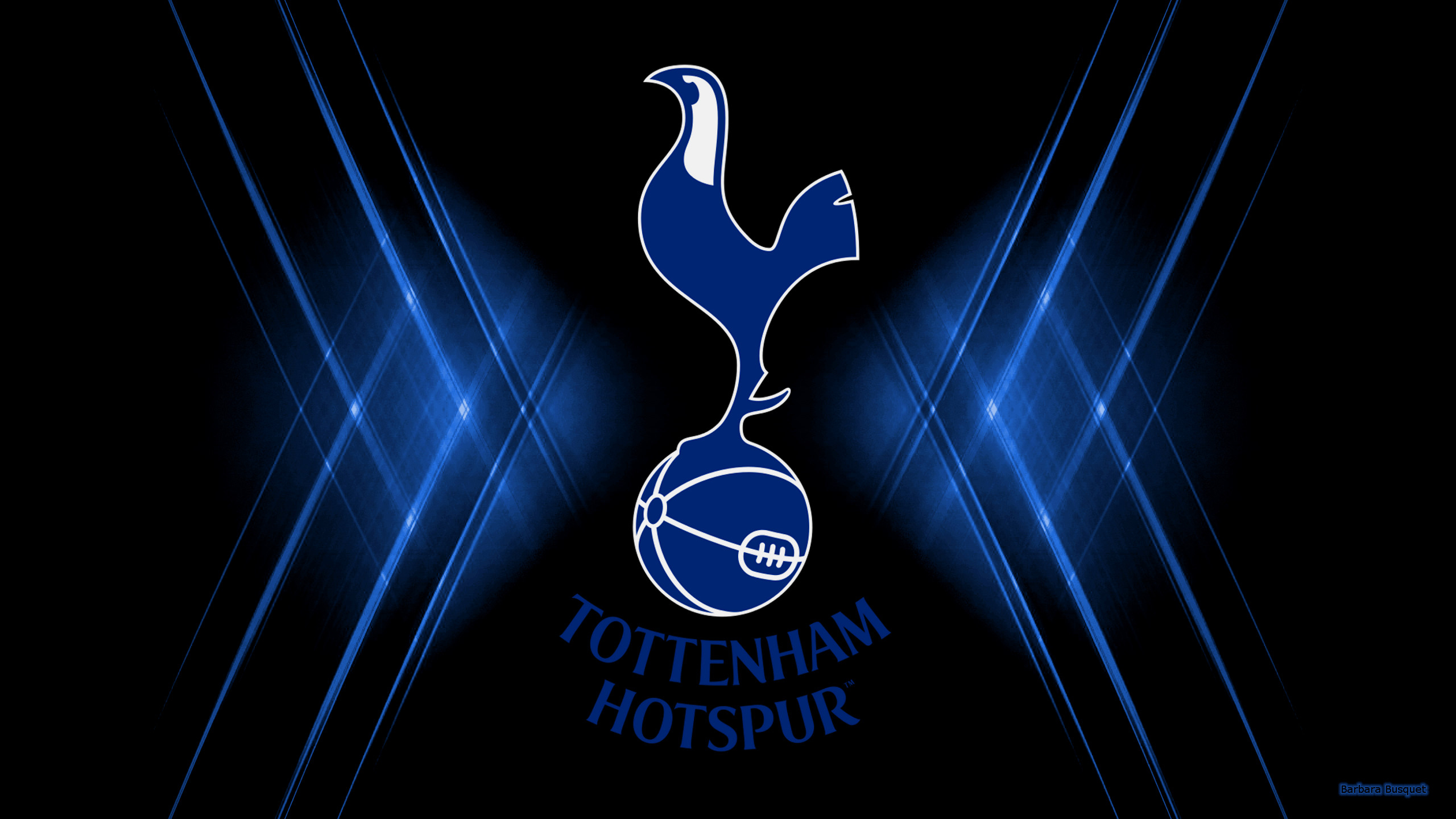 2560x1440 Tottenham Hotspur F.C. HD Wallpaper and Background, Desktop