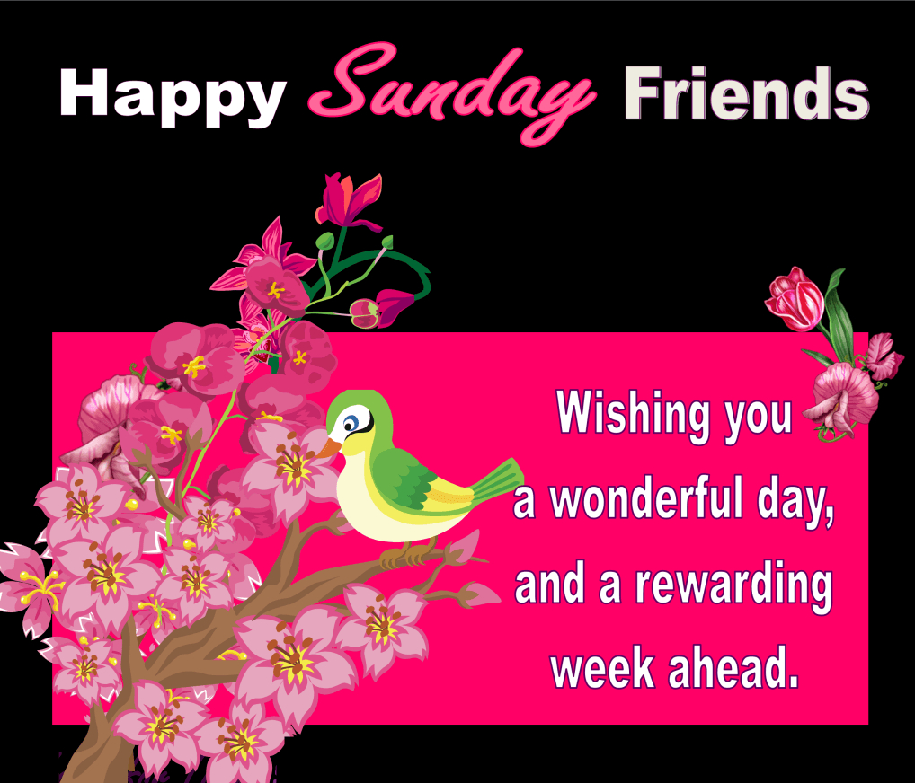 1020x880 Happy Sunday Friends good morning sunday sunday quotes happy, Desktop