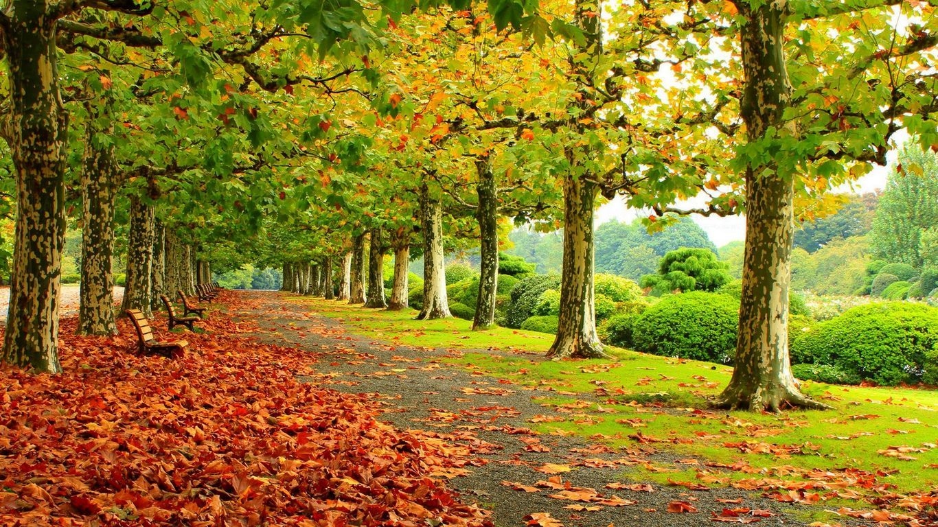 1370x770 Free download Beautiful Autumn Park HD Wallpaper HD Wallpaper [] for your Desktop, Mobile & Tablet. Explore Beautiful Autumn Wallpaper. Beautiful Fall Scenery Wallpaper, Desktop