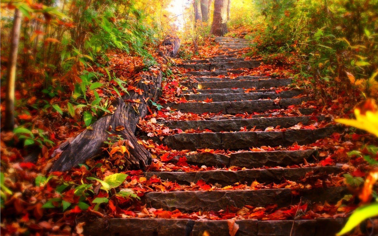 1600x1000 Fall Scenery Wallpaper Stairway in Autumn Wallpaper HD, Desktop