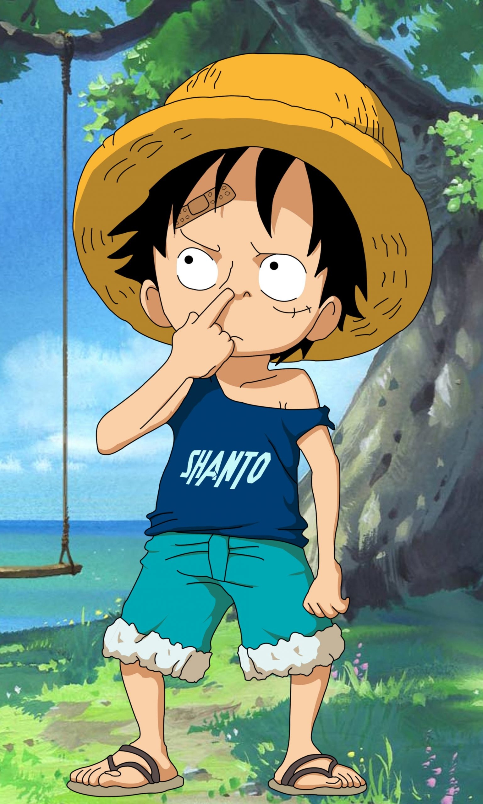 1540x2560 HD wallpaper KID LUFFY Monkey D. Luffy One Piece, Phone