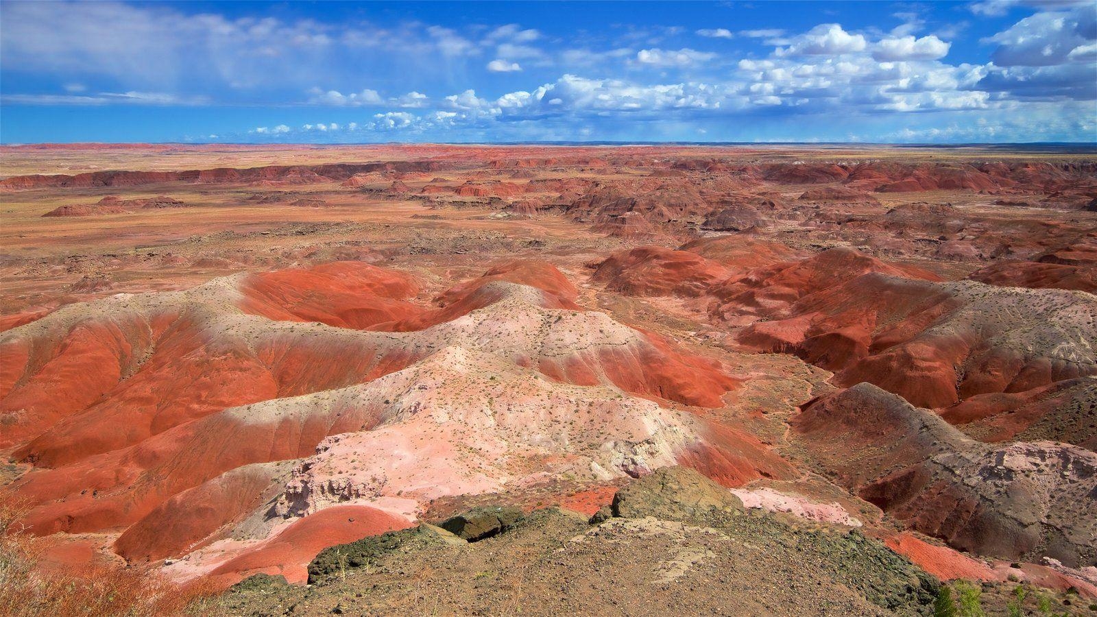 1600x900 Landscape Picture: View Image of Petrified Forest National Park, Desktop